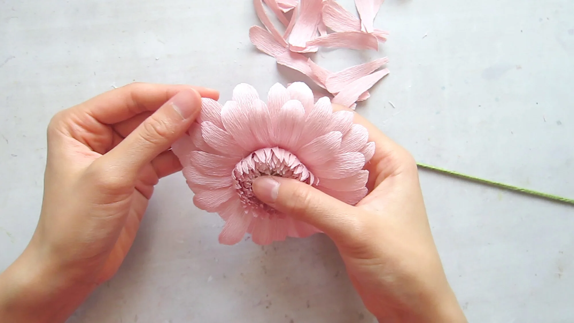 Crepe paper Gerbera Daisy Template
