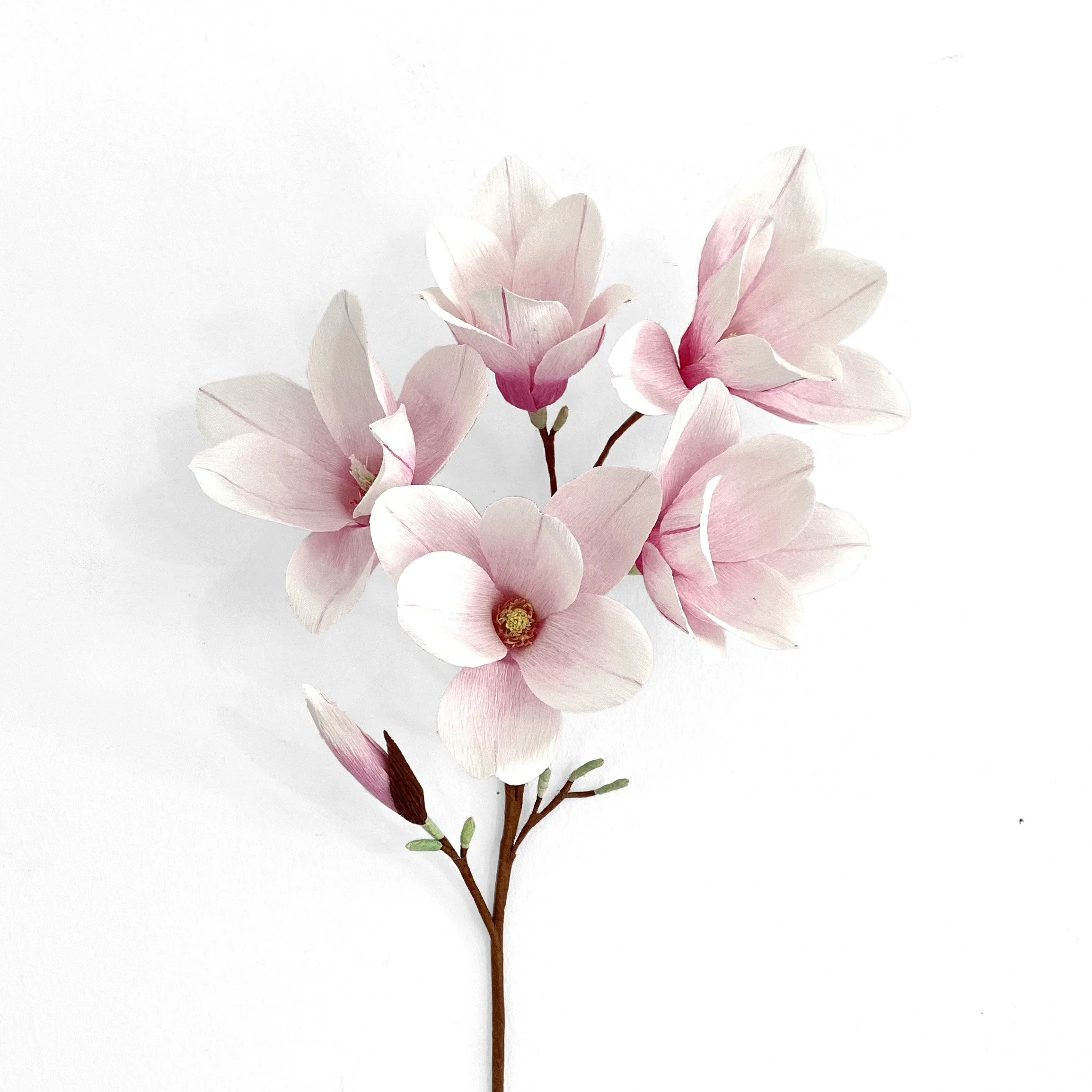Crepe Paper Magnolia