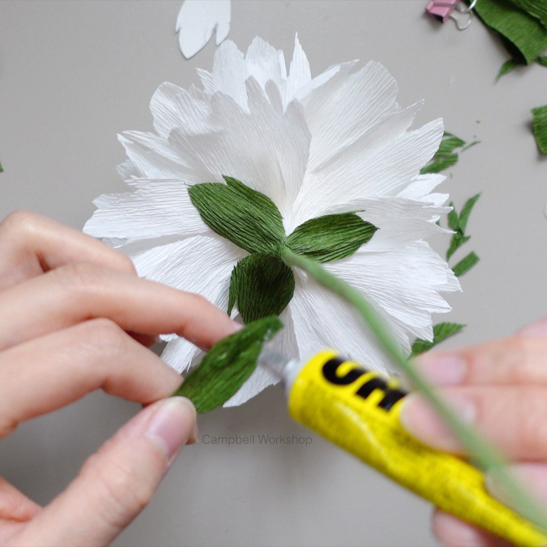 white double peony1 copy.jpg