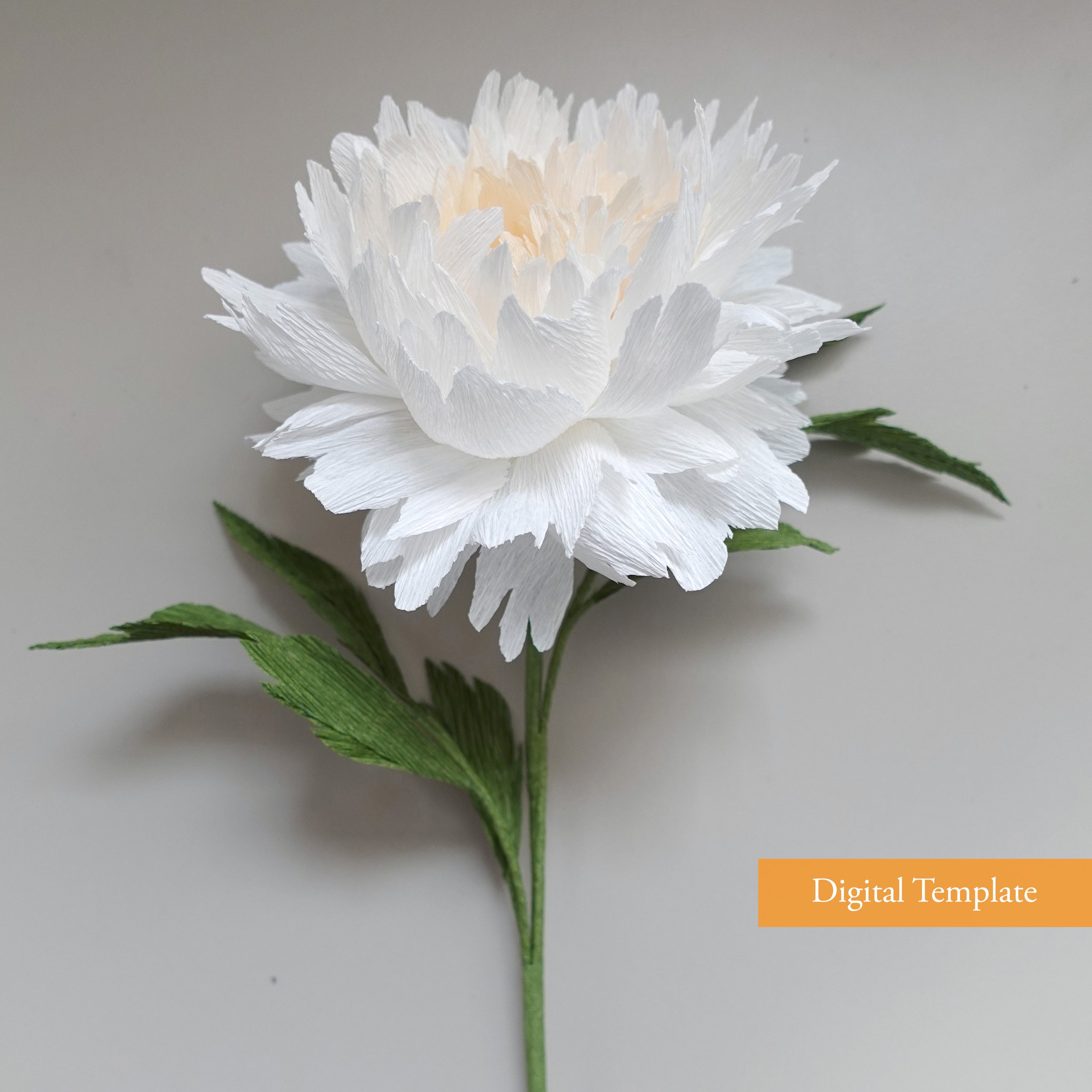 Crepe paper Double Peony Digital Template