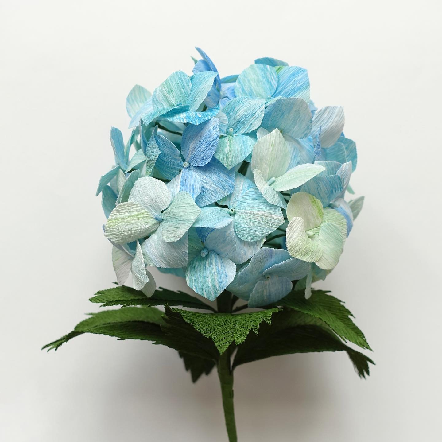 This month we are going to make a Hydrangea ! 💙 It might be one of the most time consuming project because we will need 60 of these 4 petaled flowers for this project. And you can always colour them in any other colours. 😊Here comes our 360 degrees