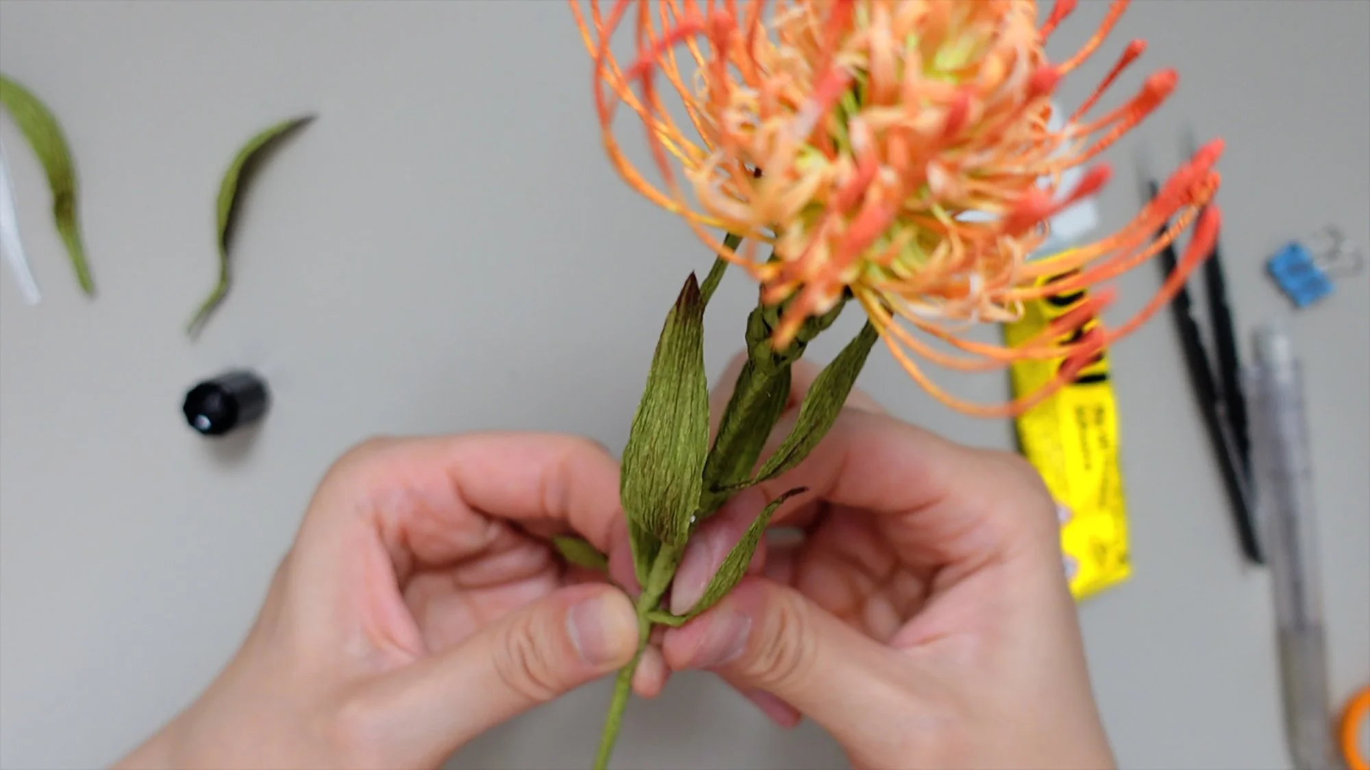 Crepe Paper Pincushion Protea