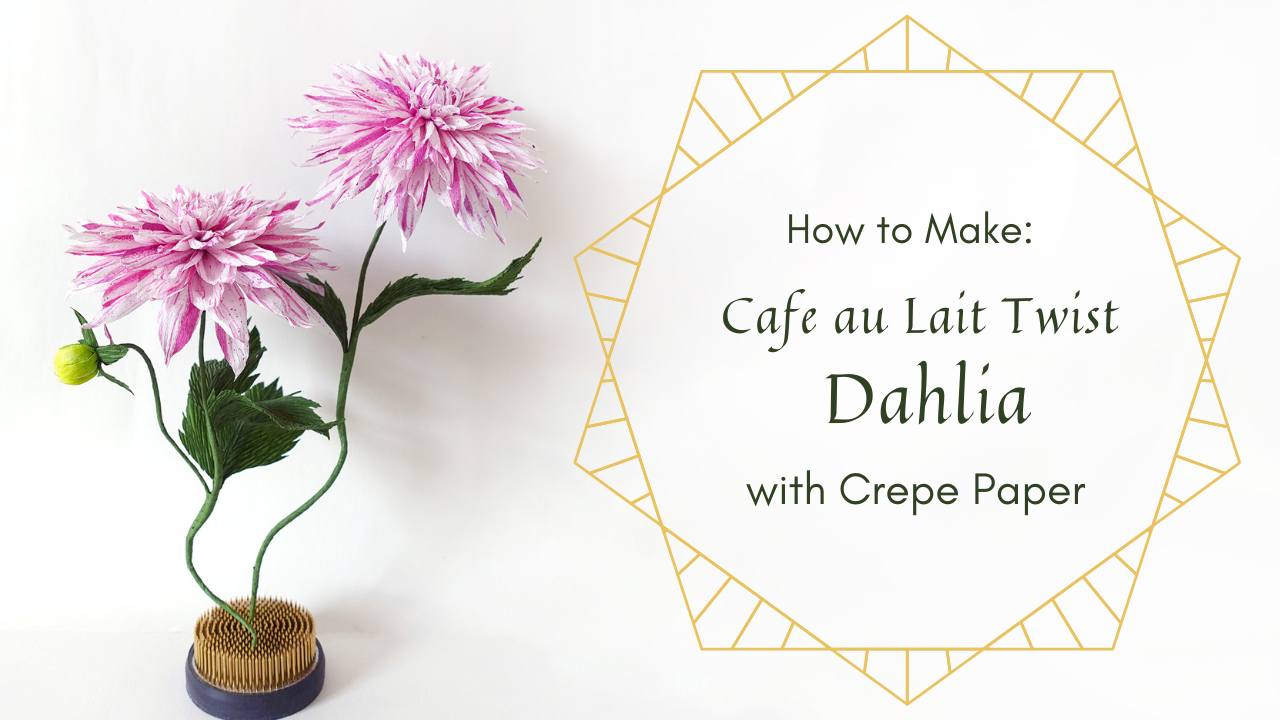 Cafe au Lait Twist DAHLIA