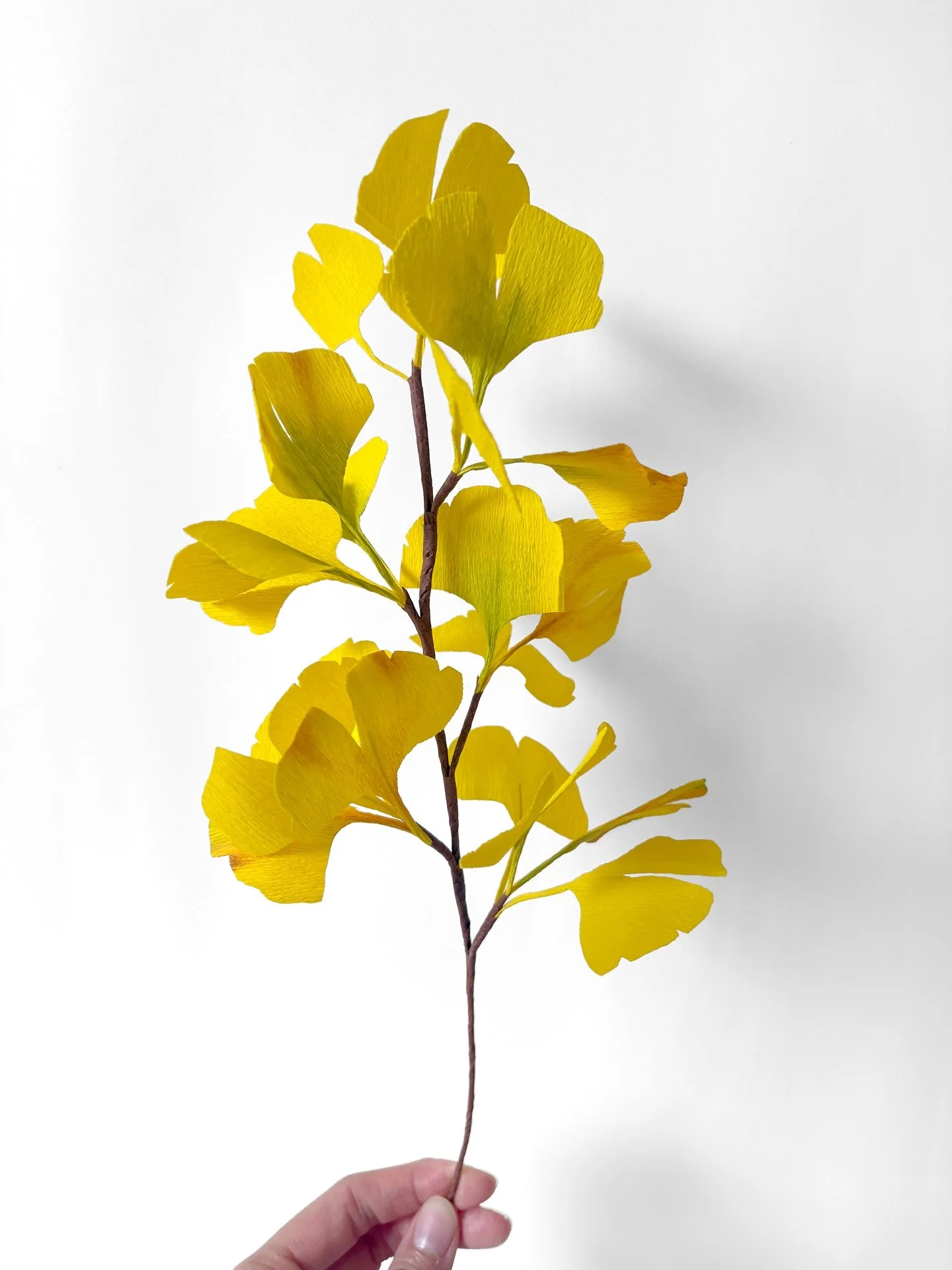 Today we are to make more Autumn Leaves - Ginkgo. they are often called “living fossils” because they are one of the oldest living tree species, dating back before the dinosaurs.
.
If you are interested, our tutorial is already on our You