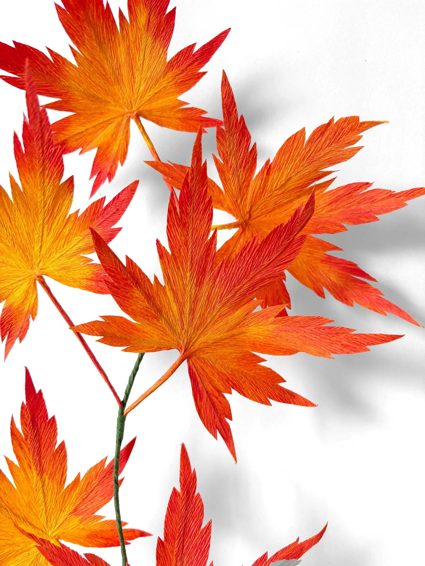 Did you know Japanese Maple trees aren't just yellow and orange? You can also find them in stunning shades of purple. 
Visit our website for all the templates and kits. β€οΈ 
Join our Not-So-Secretive Community on Patreon to support our work, thanks!