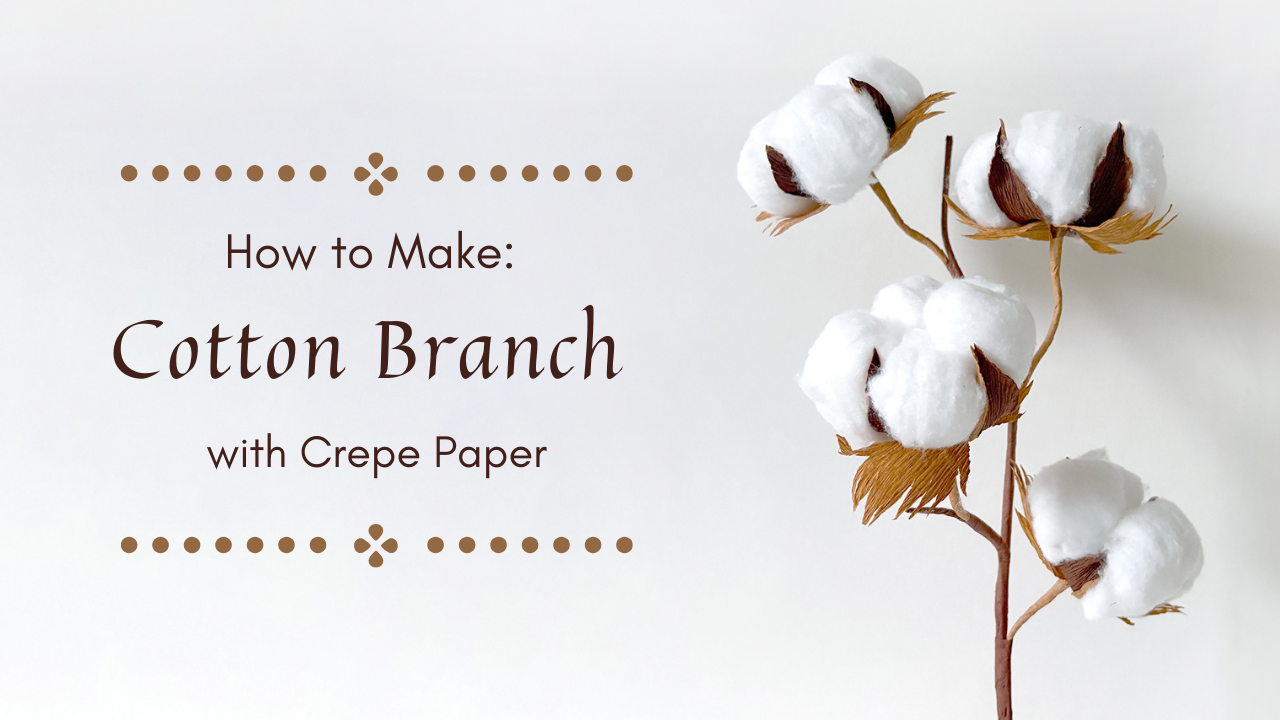 Cotton Branch