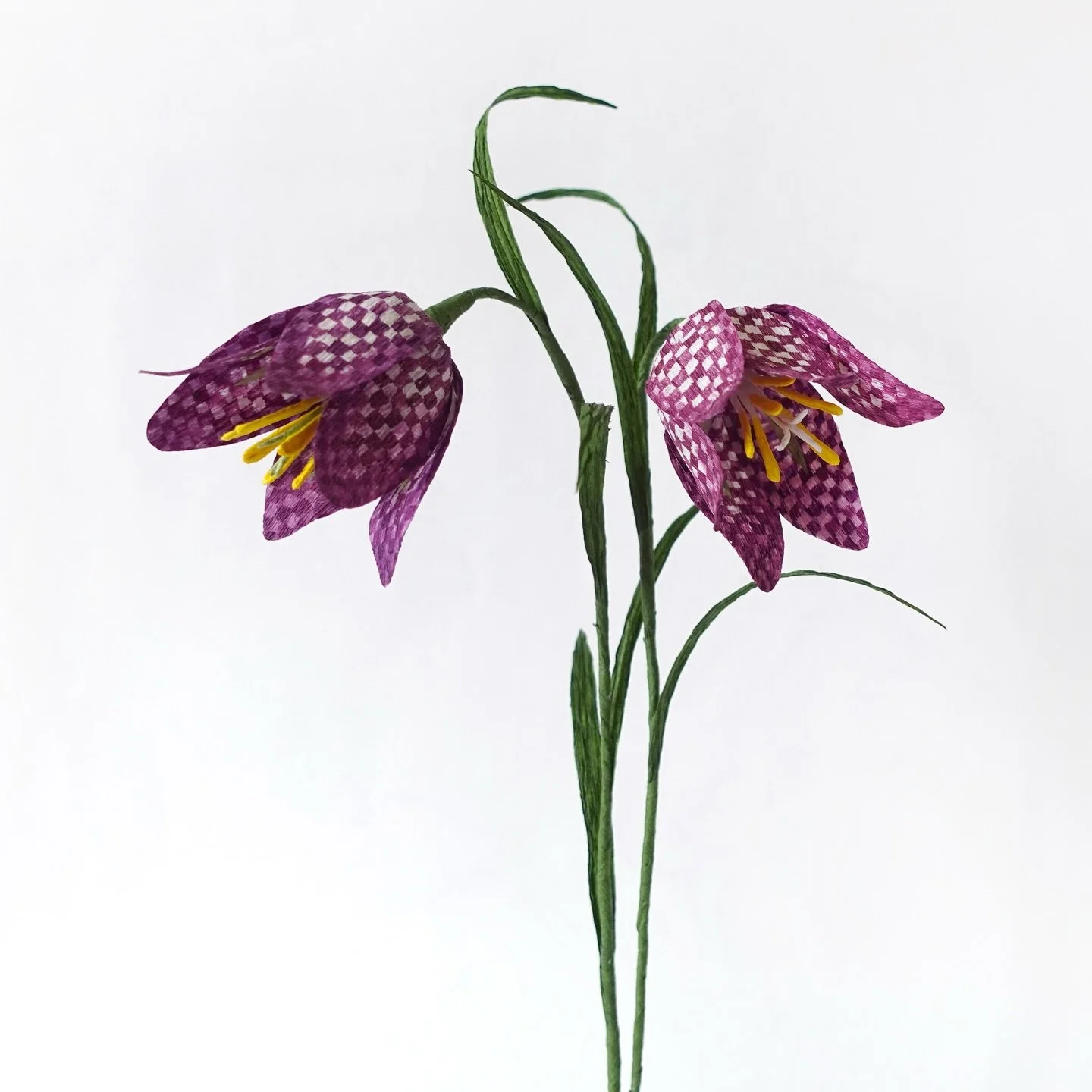 Looking back at this year, I felt like I had been quite busy and had quite a year. Thank you very much for all of you liking our work and wanting to learn from us, supporting us on Patreon, Youtube Membership and purchasing our products! 🥰

Our very