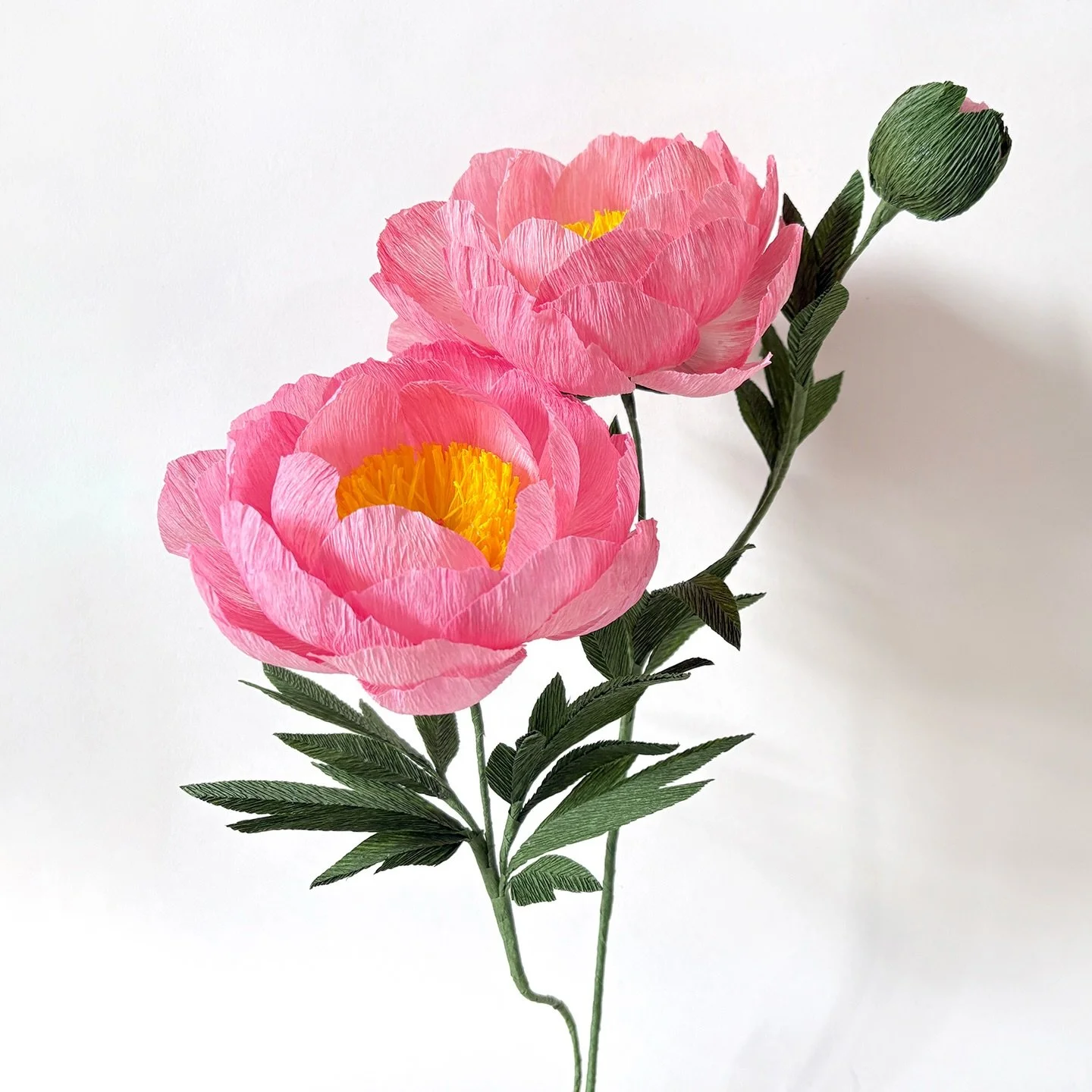 This month we are going to make Coral Charm Peony. I am going to show you how to dye the lighter crepe paper with another darker piece of crepe paper. 😊
.
If you are interested, our tutorial is already on our YouTube channel&nbsp;@campbellworkshop&n