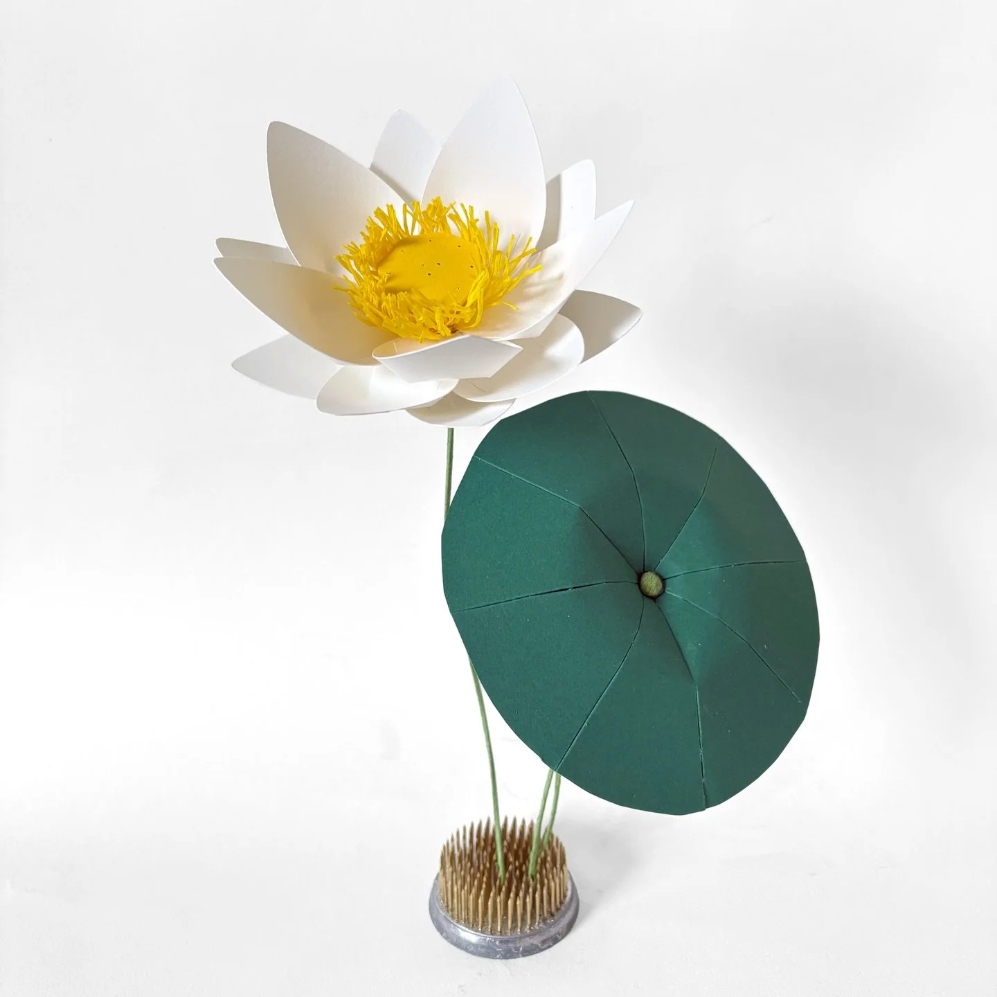 Our latest White Lotus Paper Flower Workshop is here !
Join us for a calm and creative paper flower workshop at the beautiful Lily House, Syon Park as part of the Spring Market by Dapper &amp; Suave @curatedbydapperandsuave .

🗓 7&ndash;8 March 2026