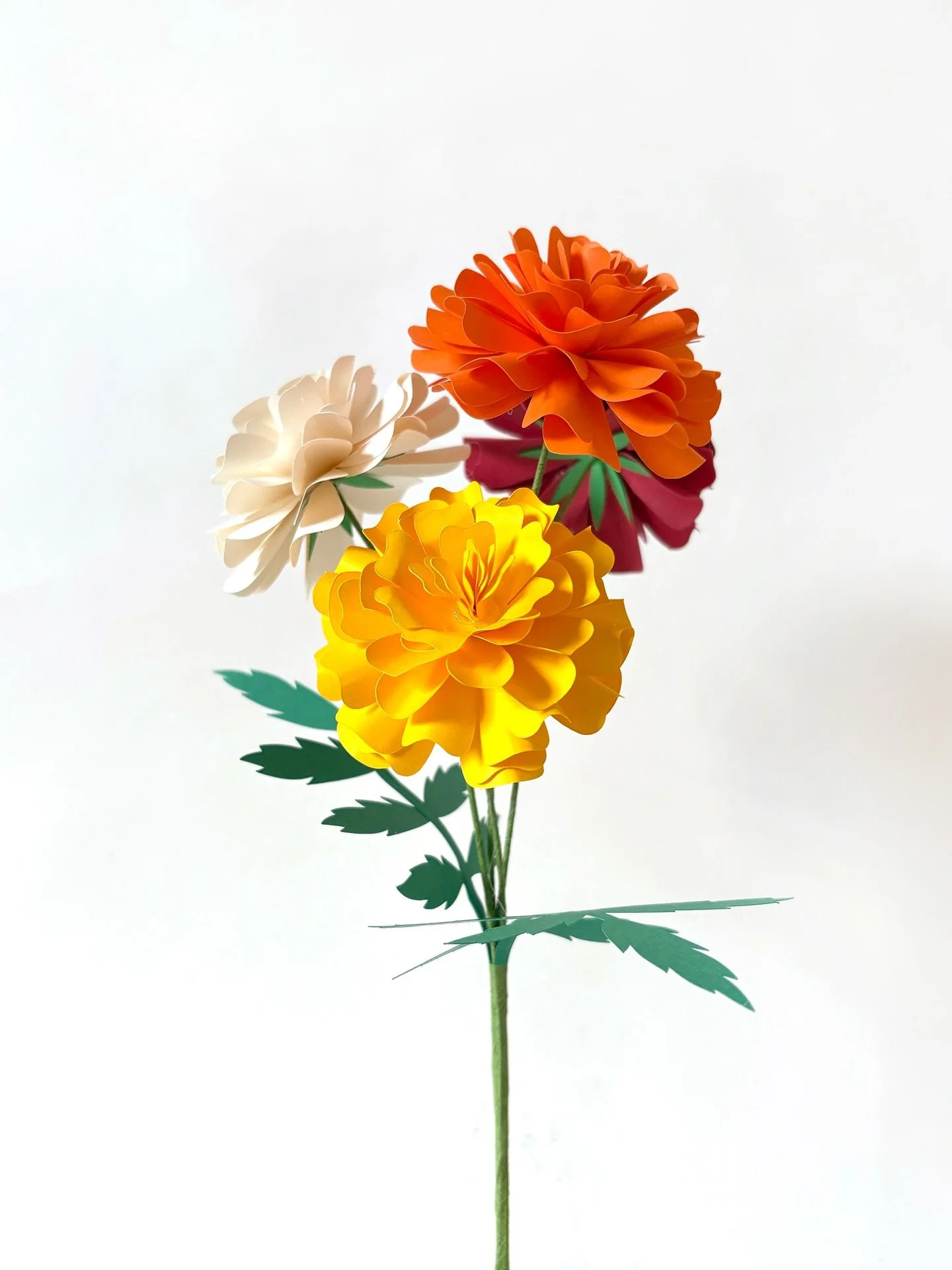 🌼✨ Exciting News! ✨🌼

We&rsquo;ve decided to swap 4 sessions of our Paper Lotus Workshop to our Paper Marigold Workshop &mdash; because we think a beautiful marigold bouquet makes the perfect Mother&rsquo;s Day gift 💛

If you&rsquo;re planning to 