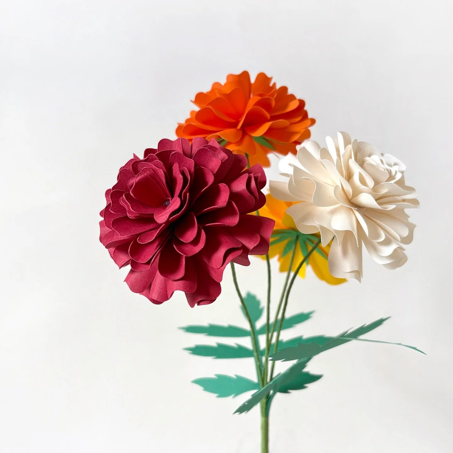 Spring events are coming ! 😊
This is going to be our busiest March for a while. We are going to host workshops at Syon Park for the first time with @curatedbydapperandsuave and joining our first Wedding Show with @bellebridalmagazine ! ✨

Syon Sprin