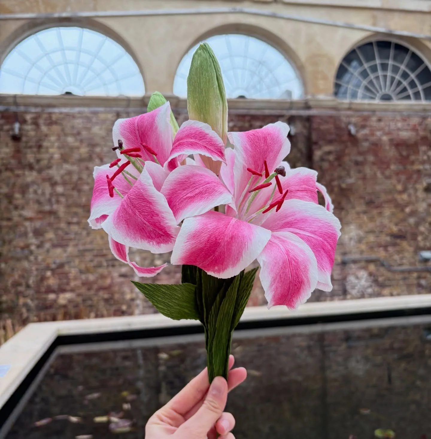 Happy Mothers Day ❤️❤️