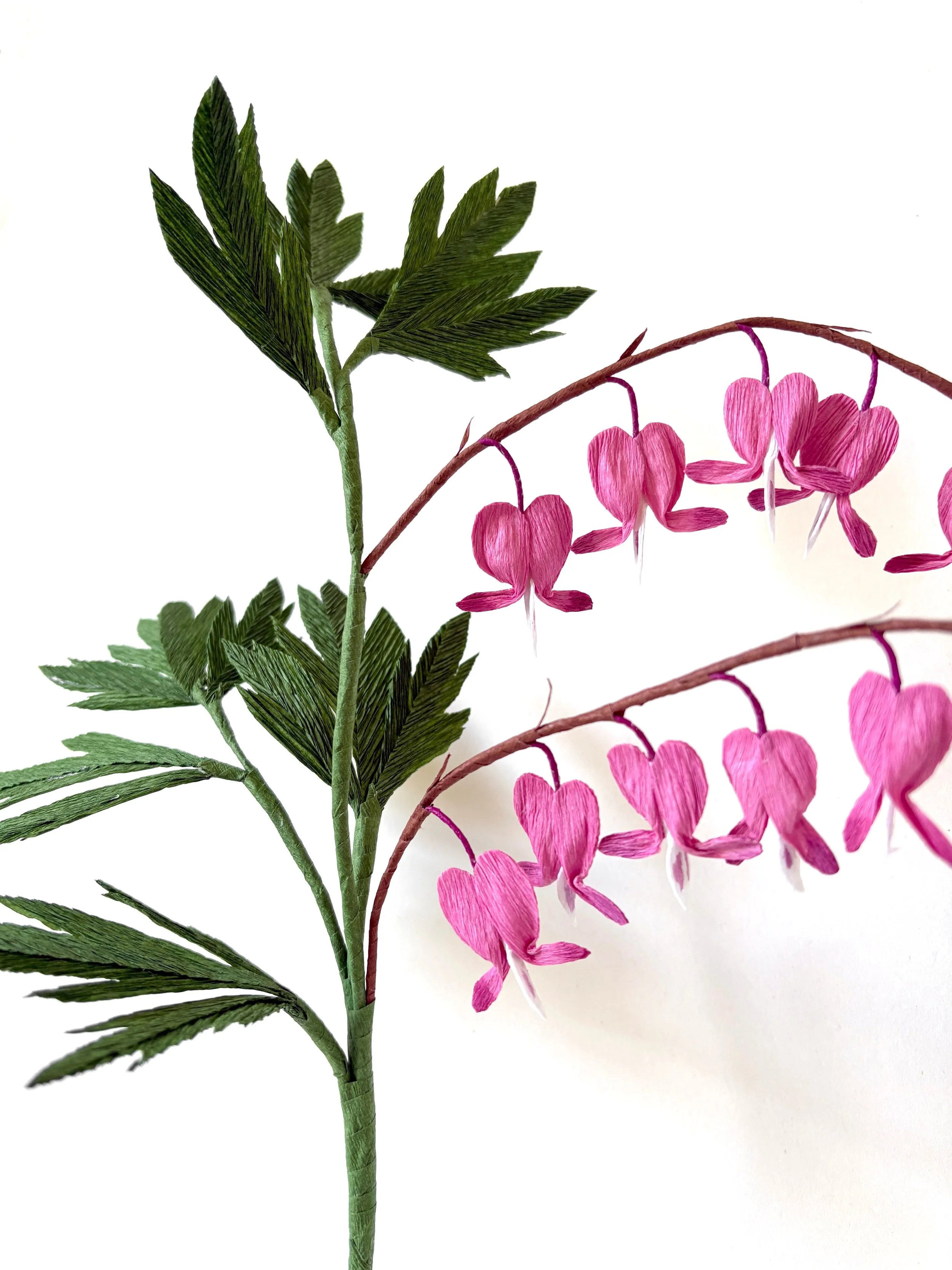The bleeding-heart flower, or properly named Lamprocapnos spectabilis, is native to the north of&nbsp;China, parts of Korea, Japan, and Siberia. 😊
.
If you are interested, our tutorial is already on our YouTube channel&nbsp;@campbellworkshop&nbsp;. 