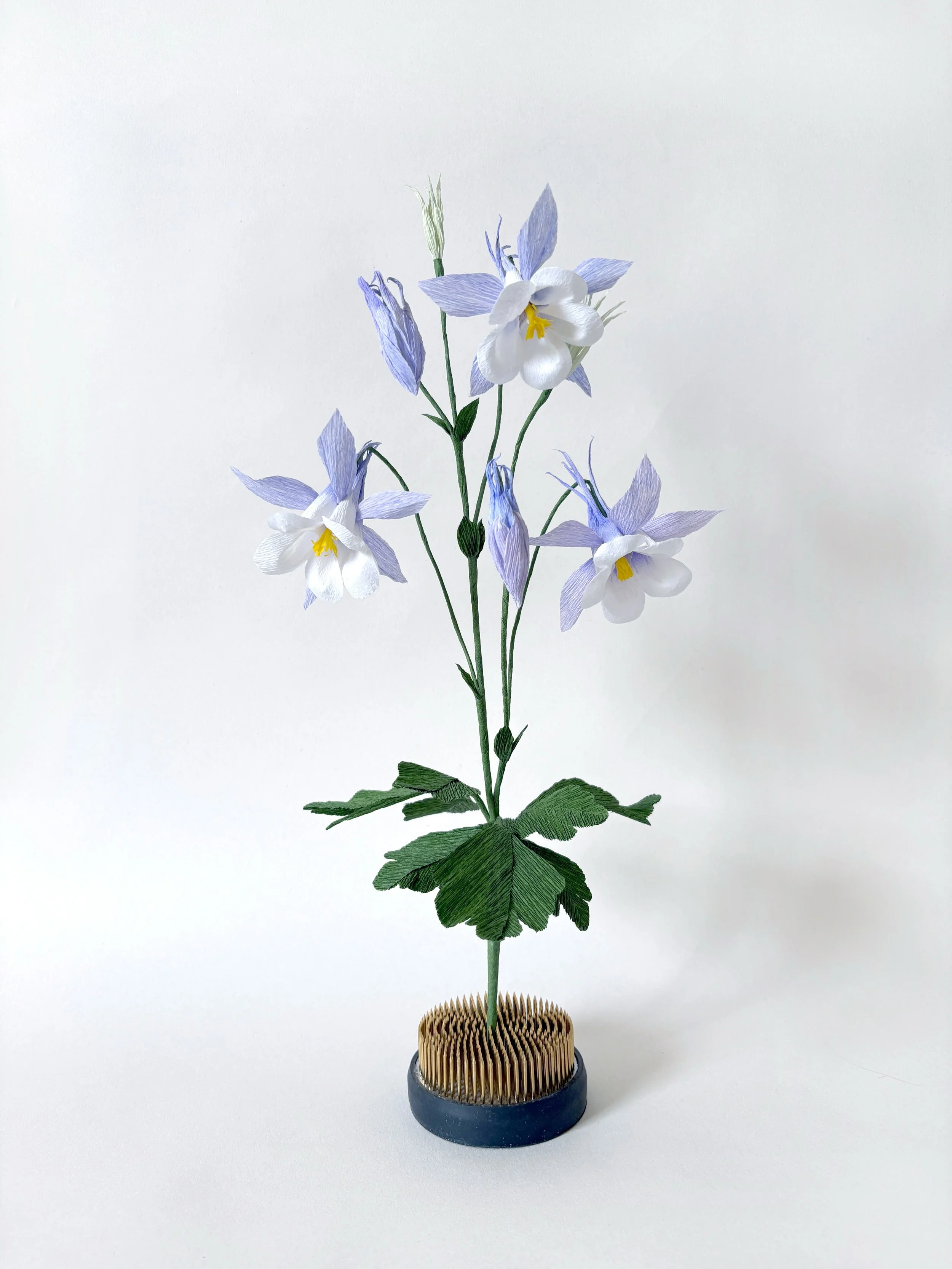 This month we are going to use crepe paper to make Columbine Flower - Aquilegia, my first attempt was 5 years ago and I think it&rsquo;s time to update my design ! 😊
.
If you are interested, our tutorial is already on our YouTube channel&nbsp;@campb