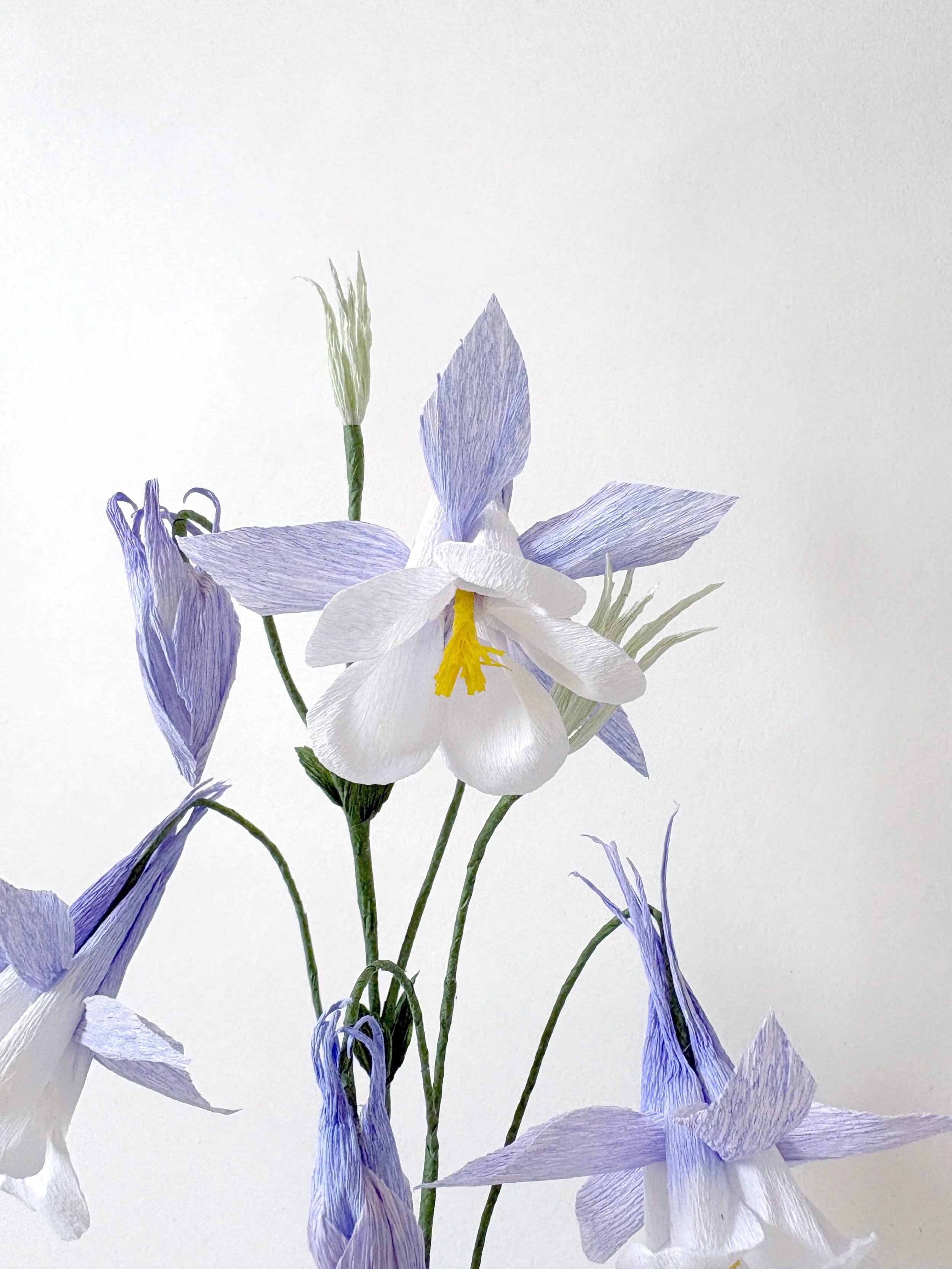 Columbines are incredibly hardy plants &mdash; they even grow between the tiles in our back garden.😊
.
If you are interested, our tutorial is already on our YouTube channel&nbsp;@campbellworkshop&nbsp;. Link in bio! 👆
.
All the templates &amp; kits