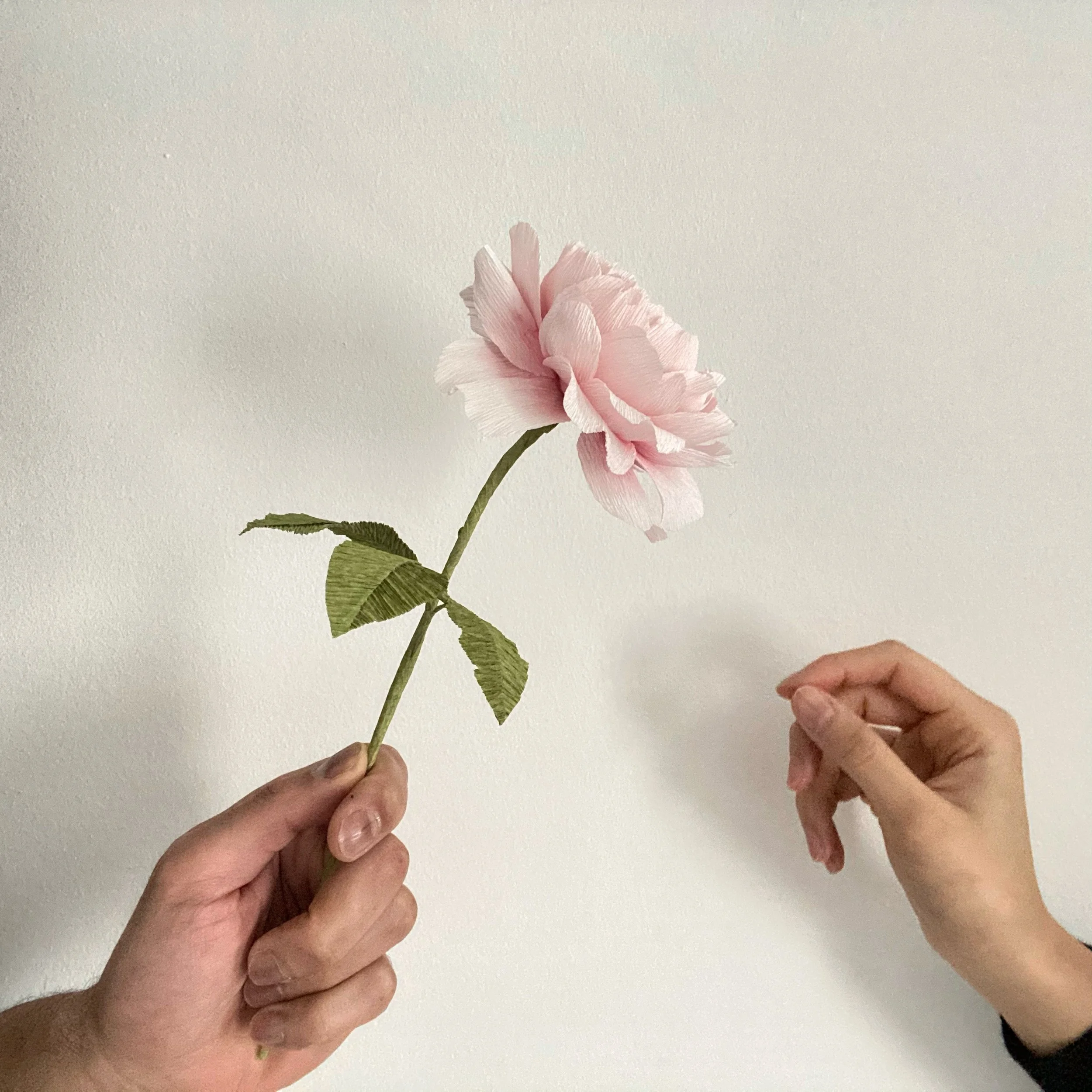 88F13B6B-473E-4FCF-8E55-2D29822E6EBB.JPG