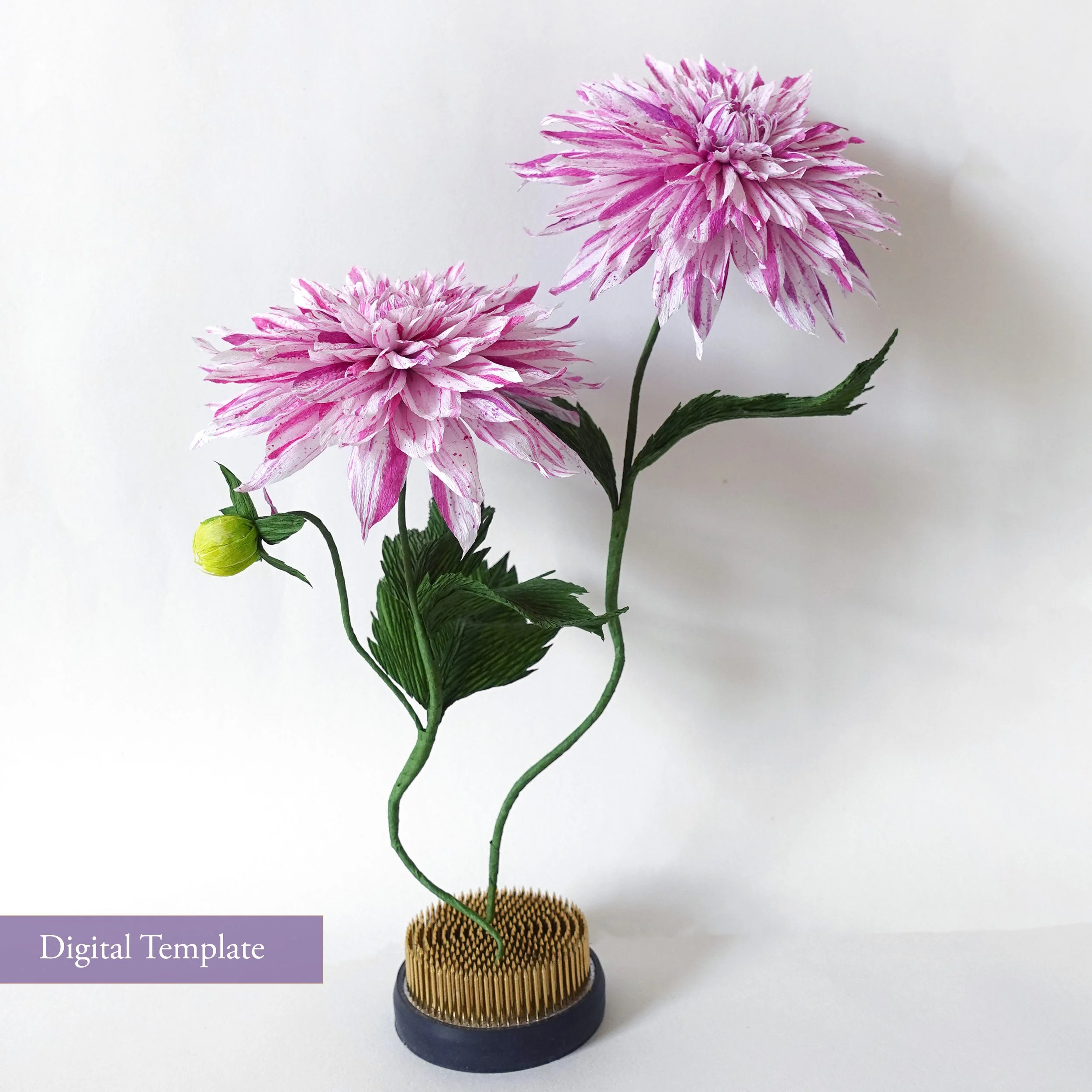 dahlia.jpg
