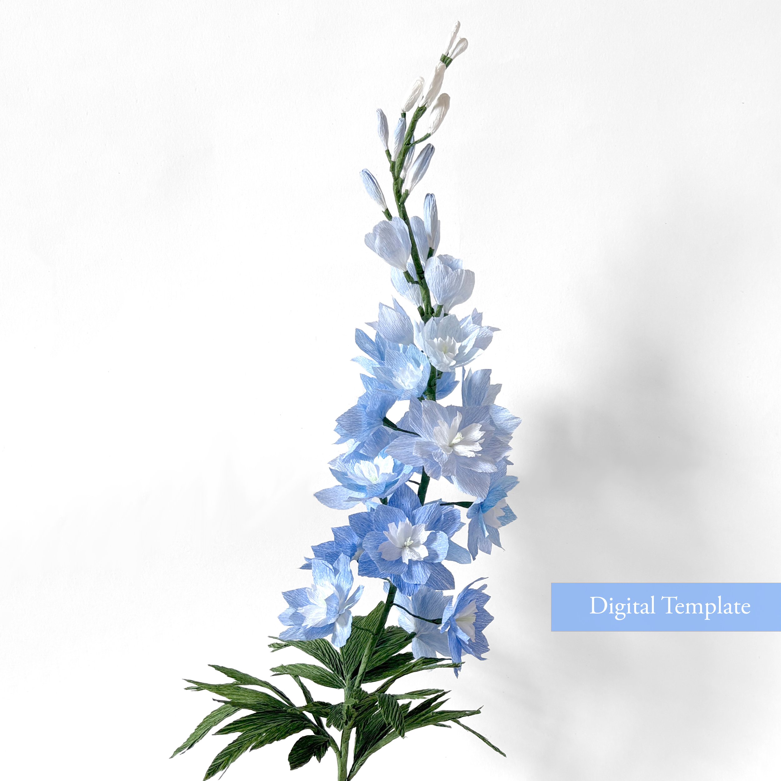 digital template Delphinium.jpg