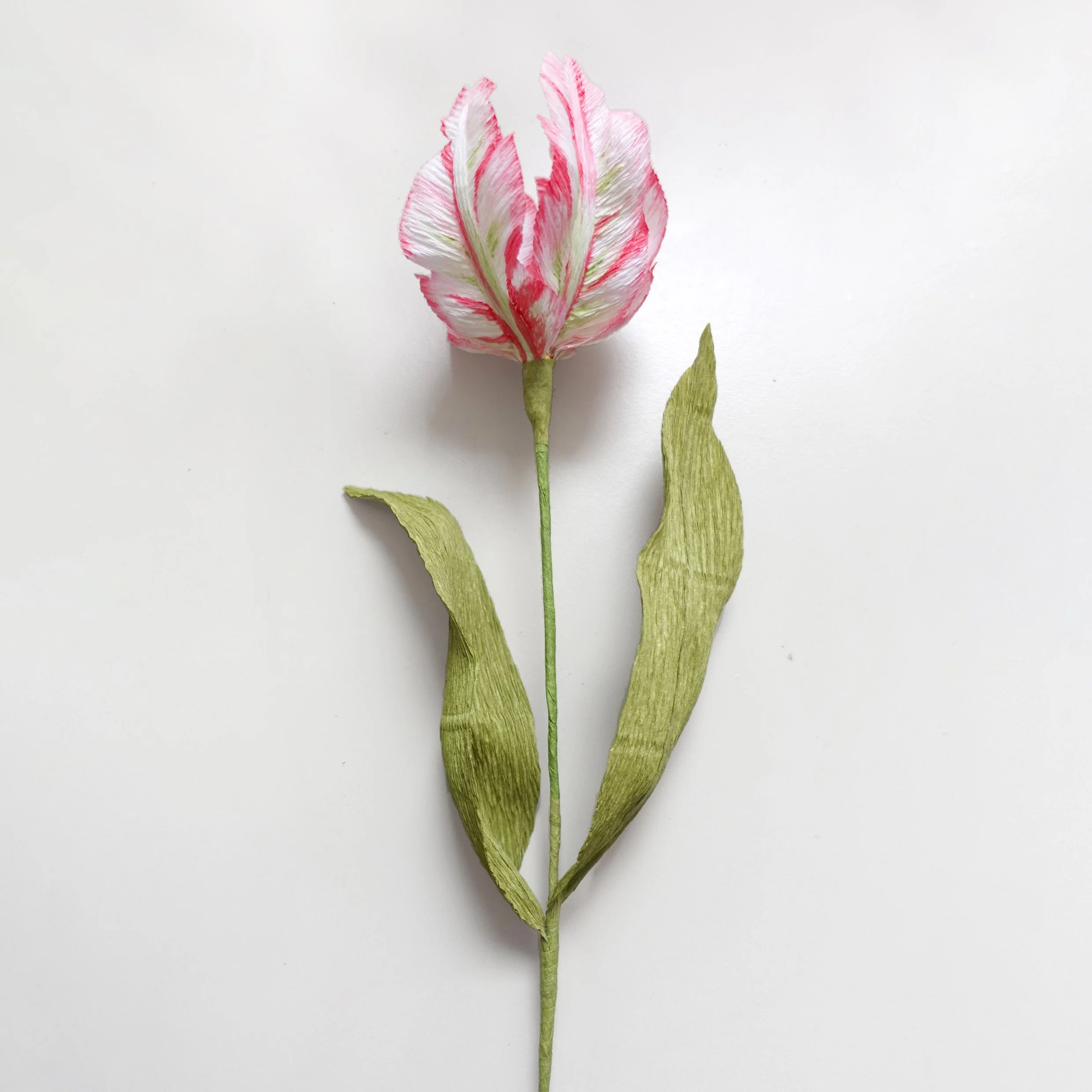 Untitled-1.jpg