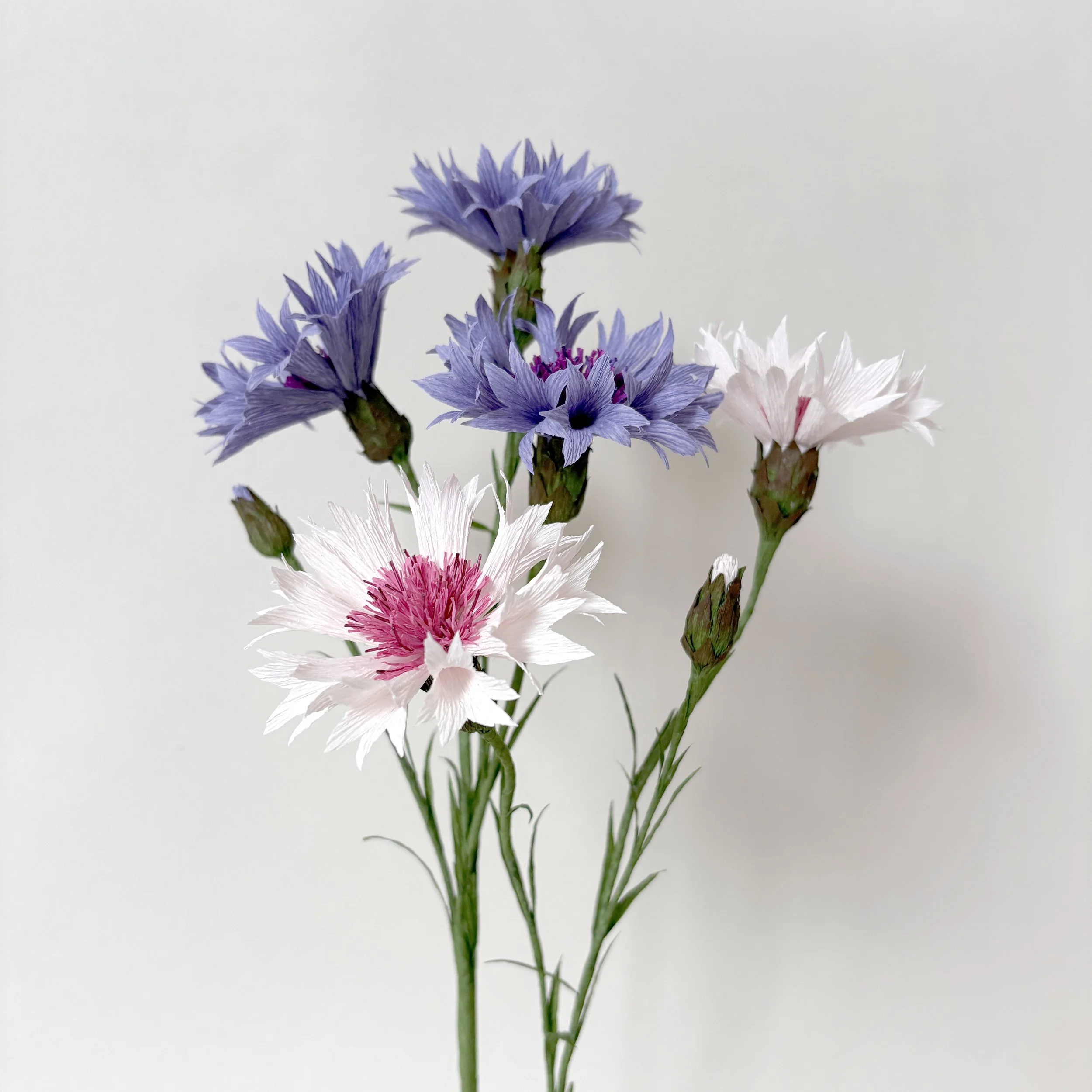 Crepe Paper Cornflower