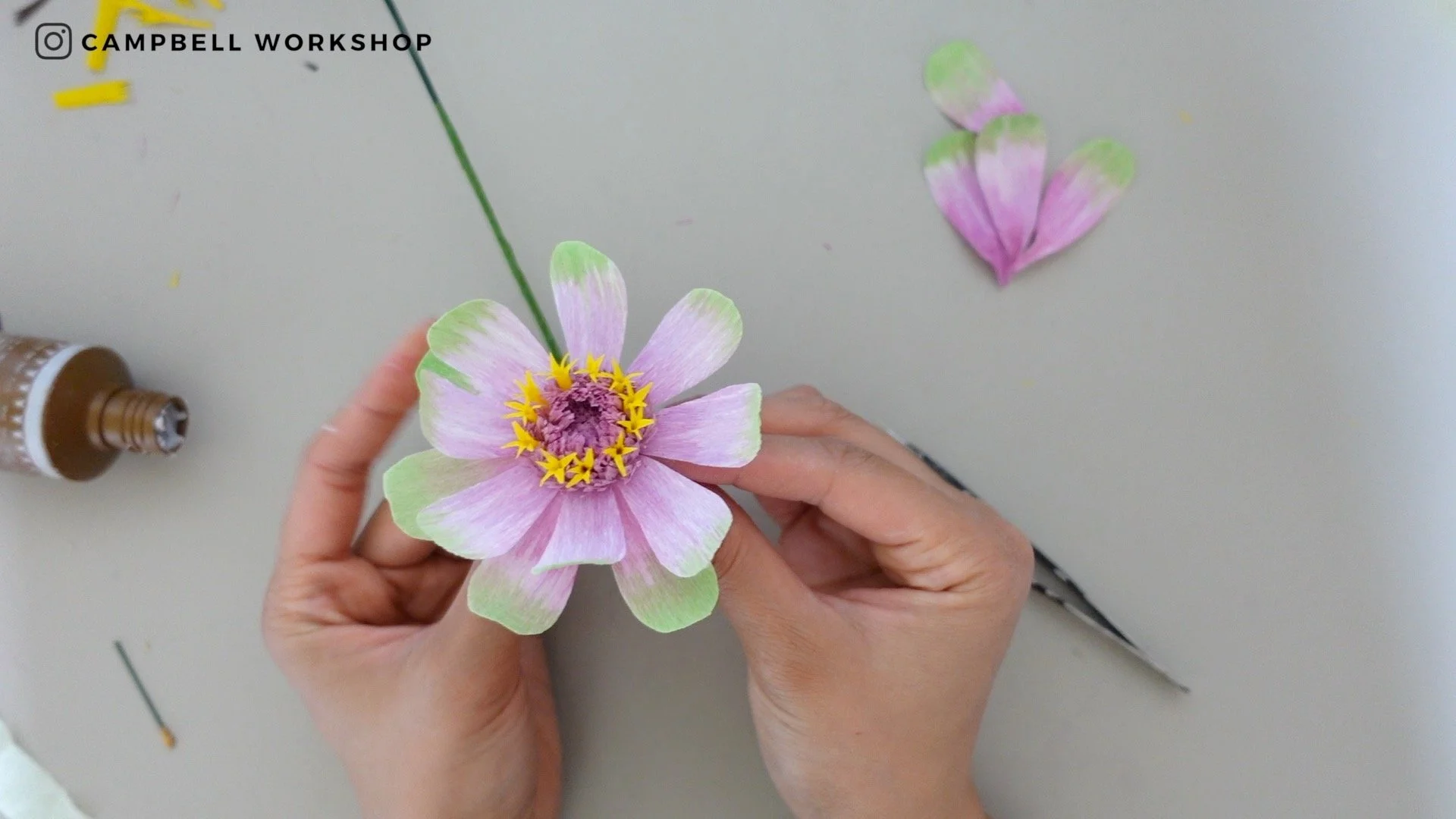 Zinnia 6.jpg