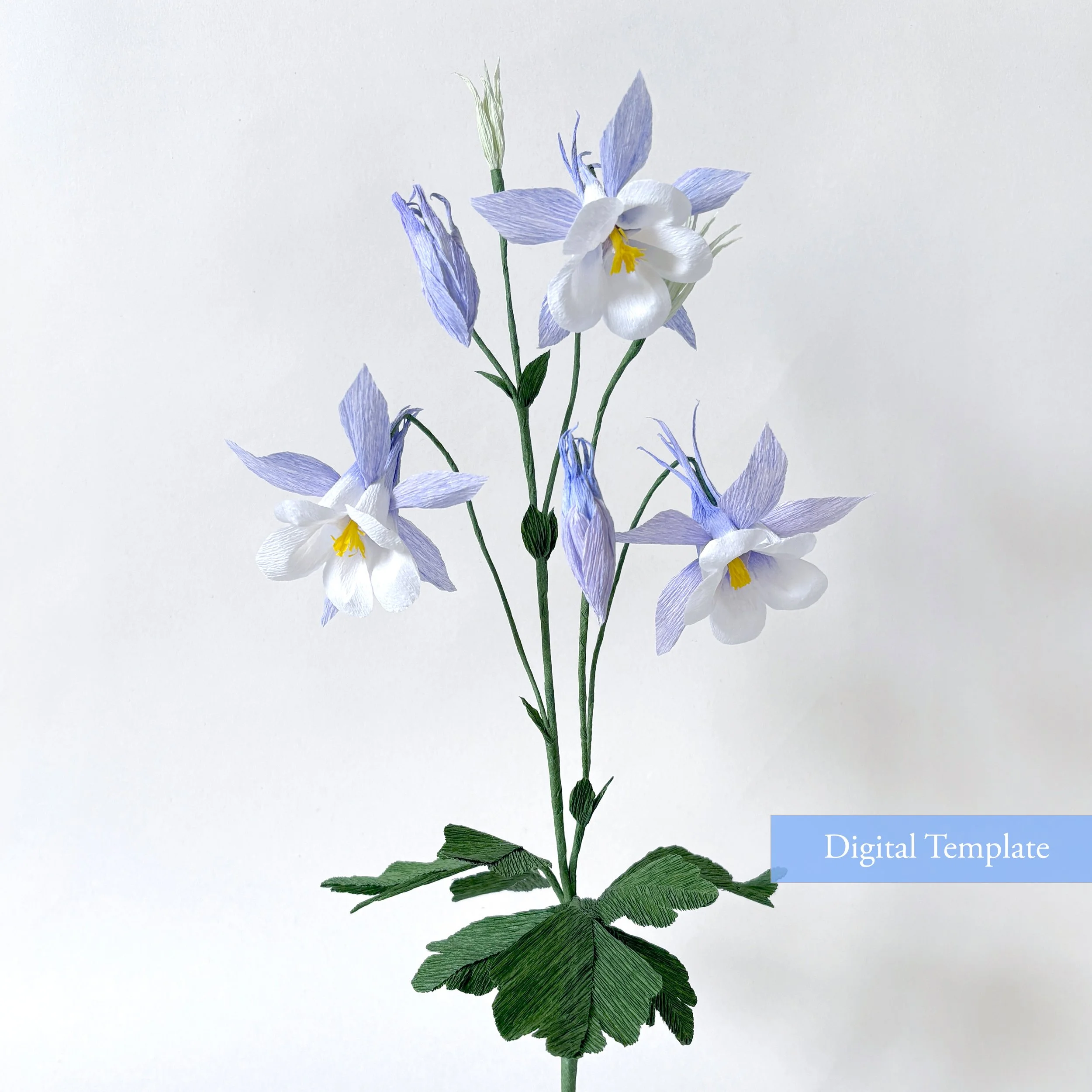 digital Columbine.jpg