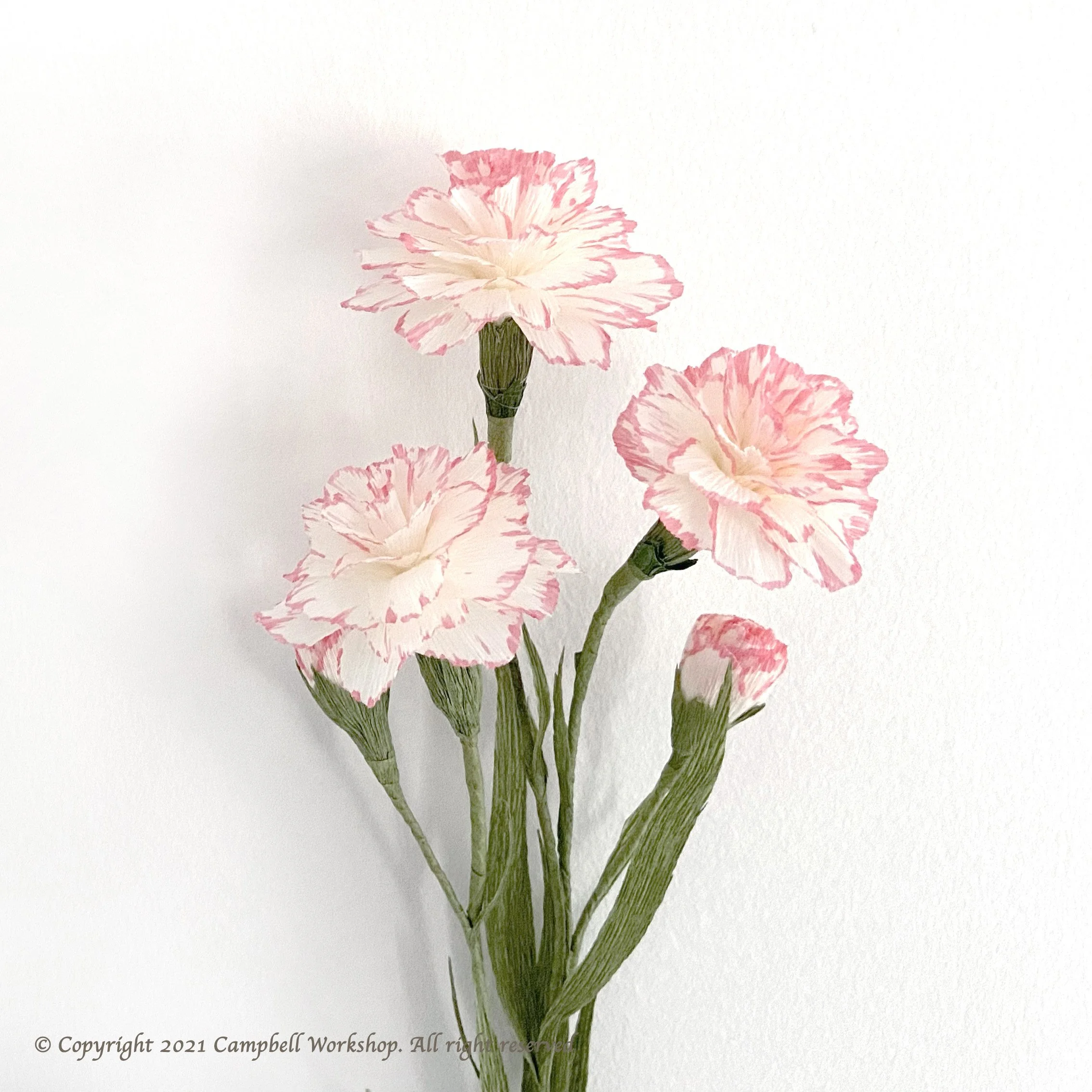 Crepe Paper Carnation Flower DIY Kit