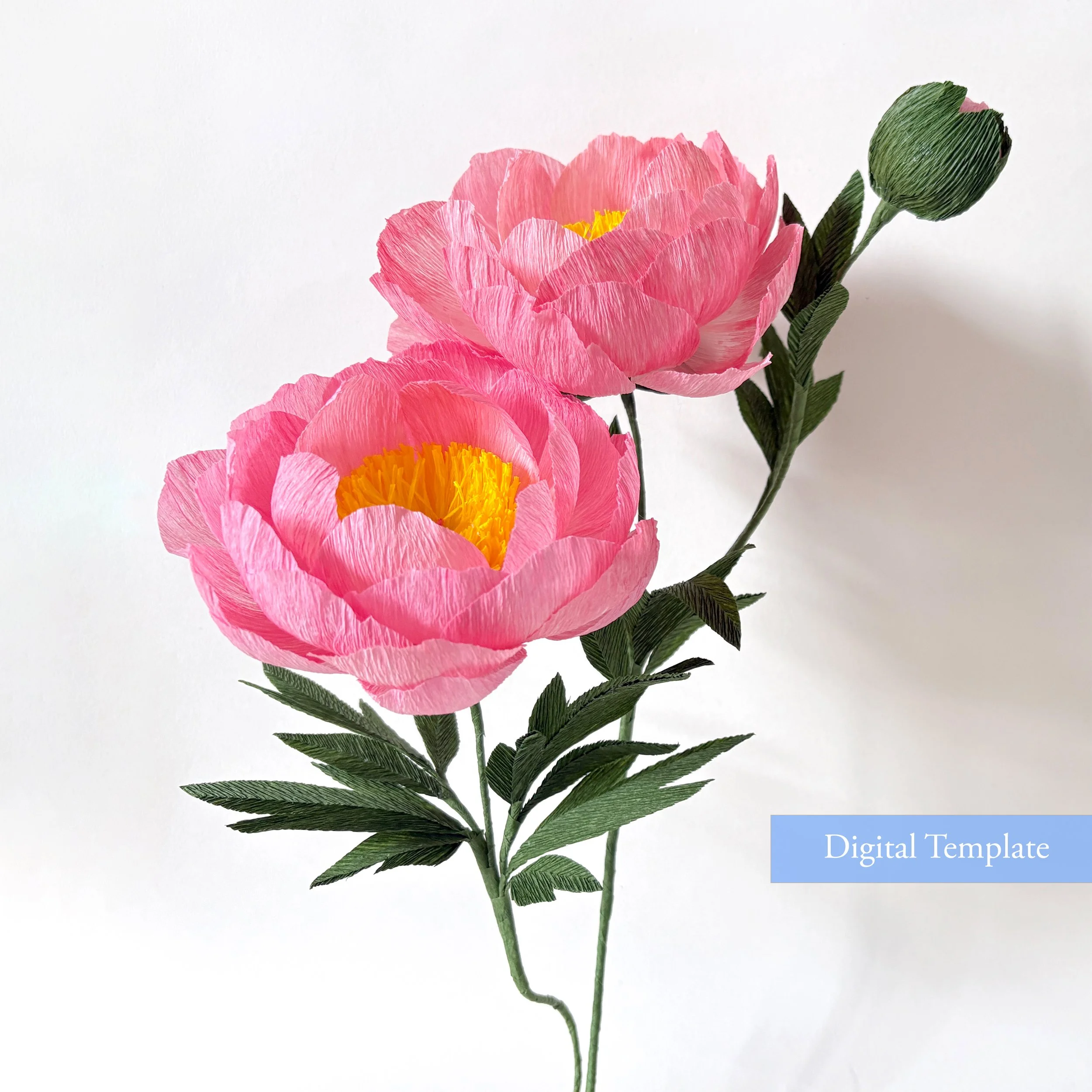 Crepe Paper Coral Charm Peony Digital Template