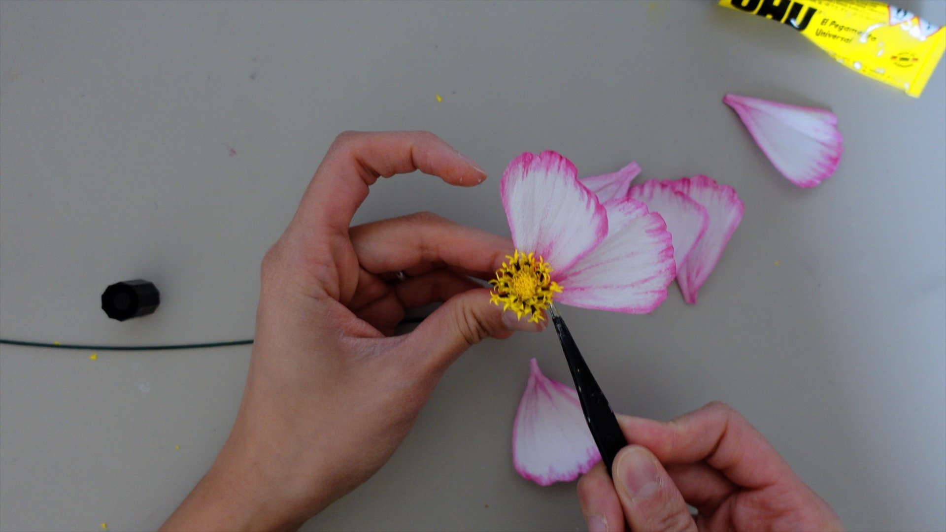 cosmos6.jpg
