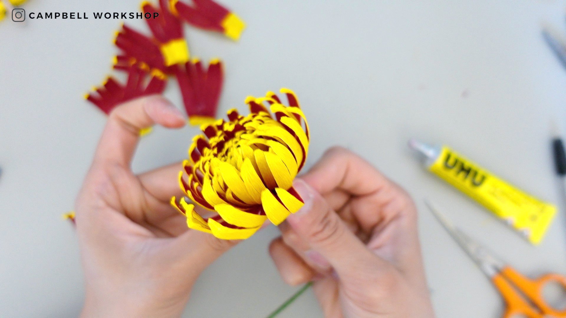chrysanthemum 25 5.jpg
