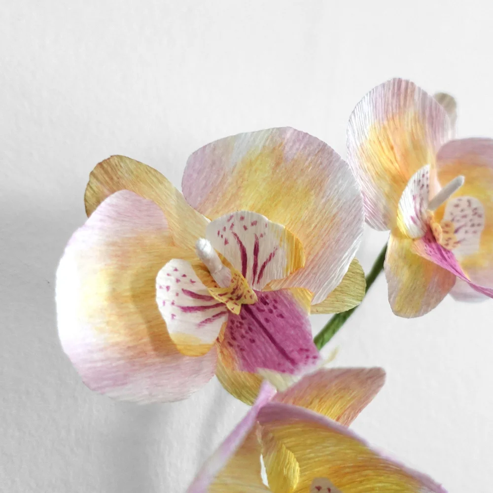 LEARN TO MAKE ORCHID with Crepe Paper — Campbell