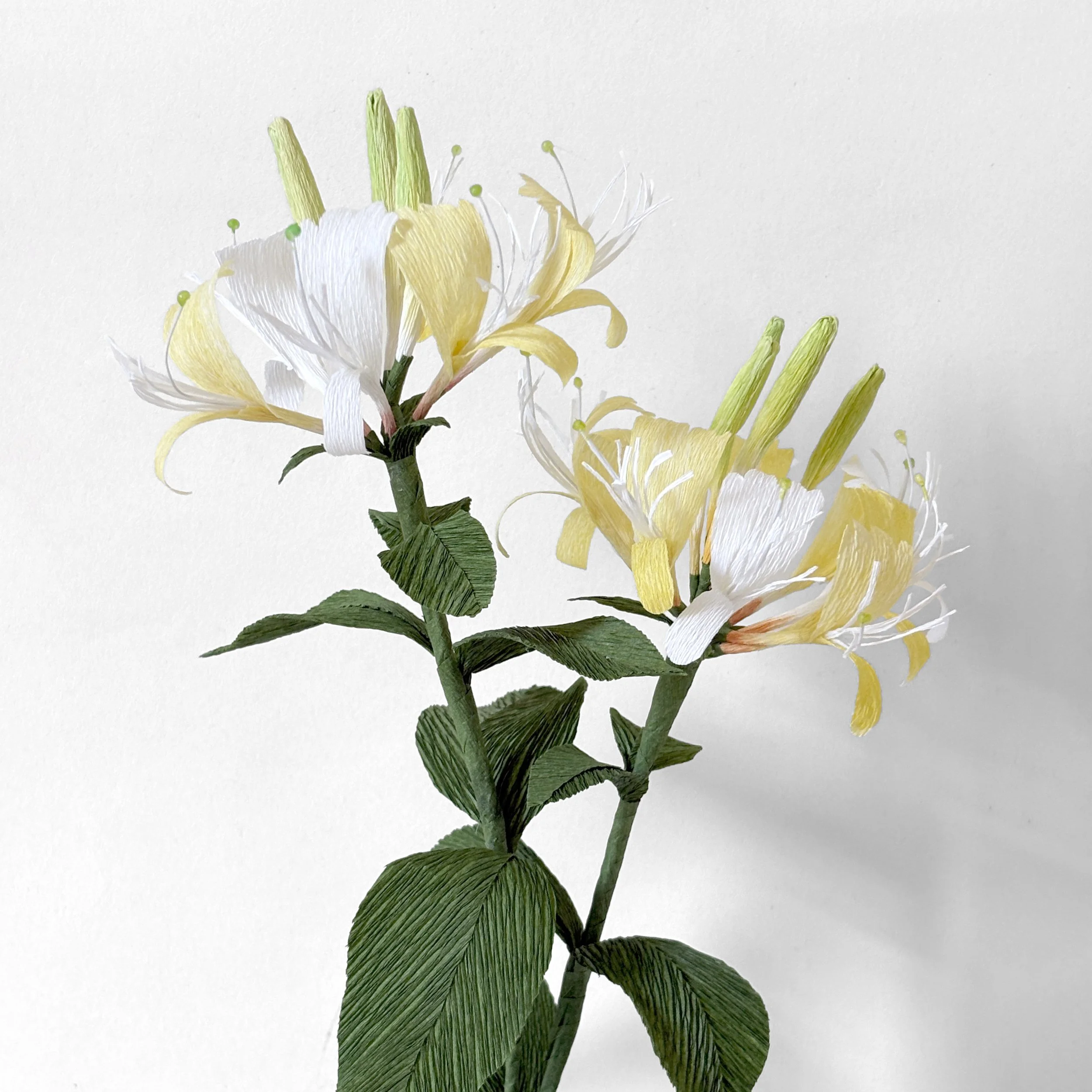 Crepe Paper Honeysuckle flower DIY Kit