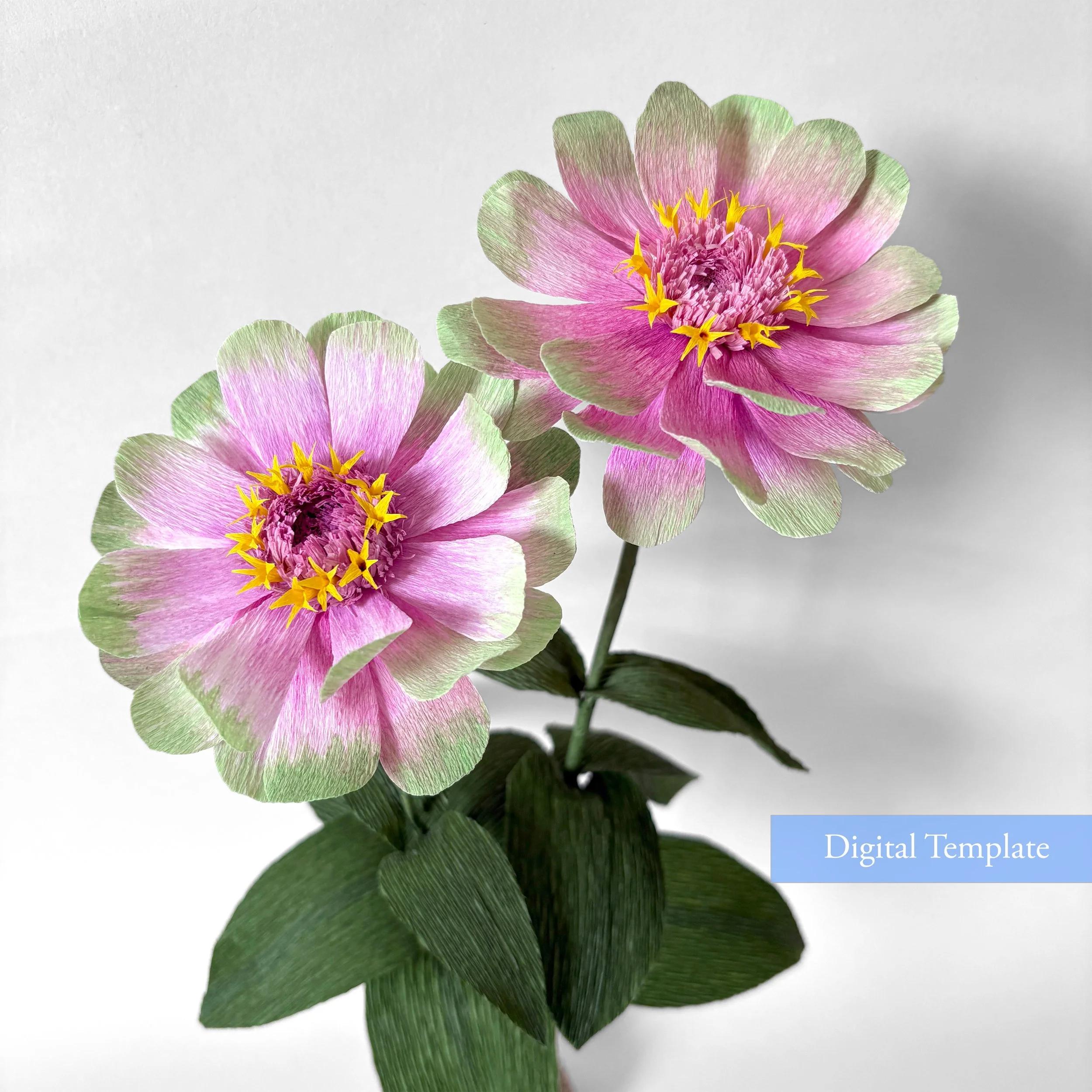 Zinnia digital template copy.jpg