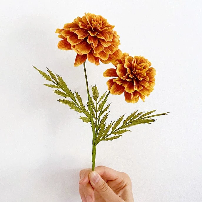 Crepe Paper French Marigold Flower DIY Kit