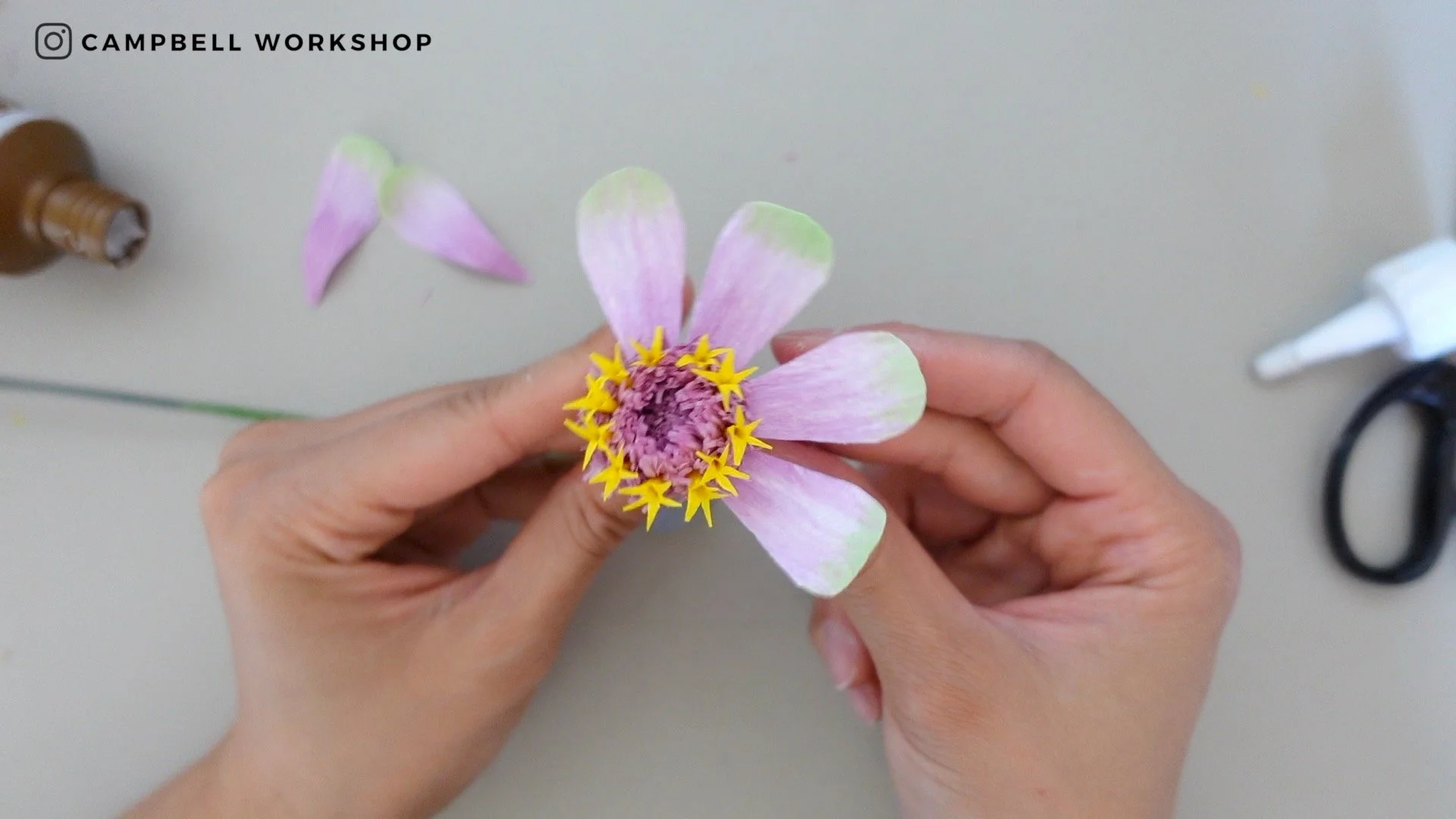 Zinnia 5.jpg