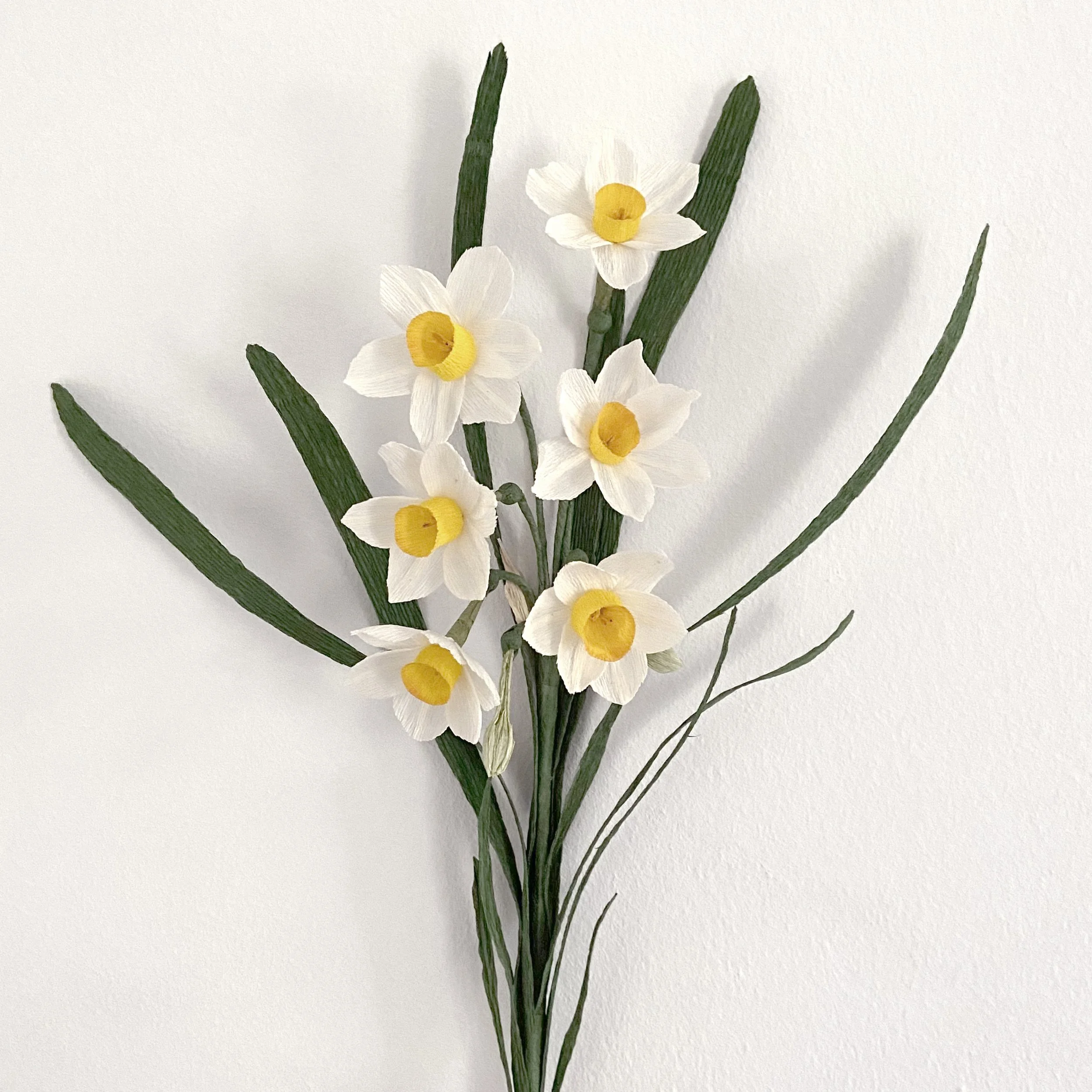 Crepe Paper Bunch-flowered Narcissus - Chinese Sacred Lily DIY Kit