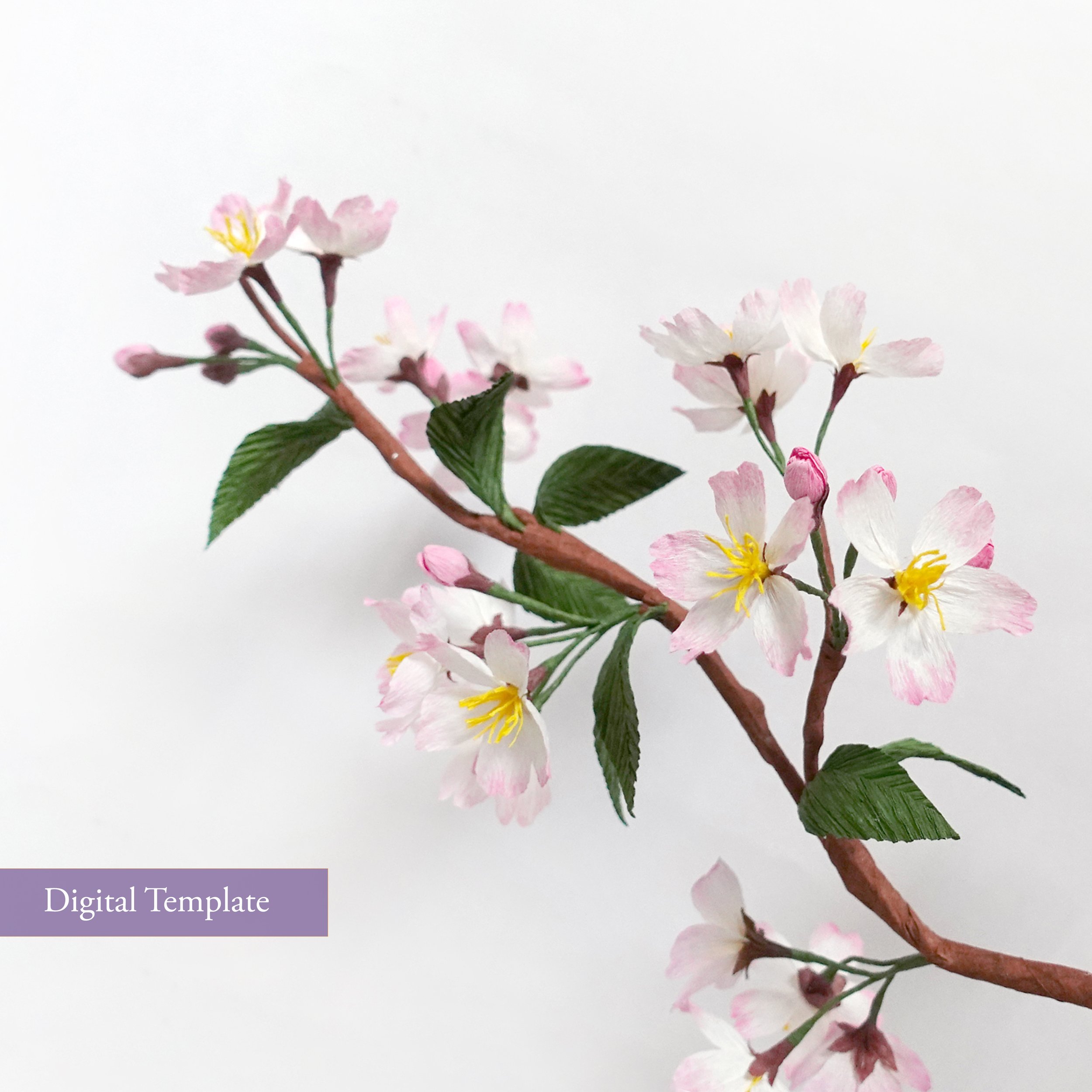 Crepe Paper Cherry Blossom