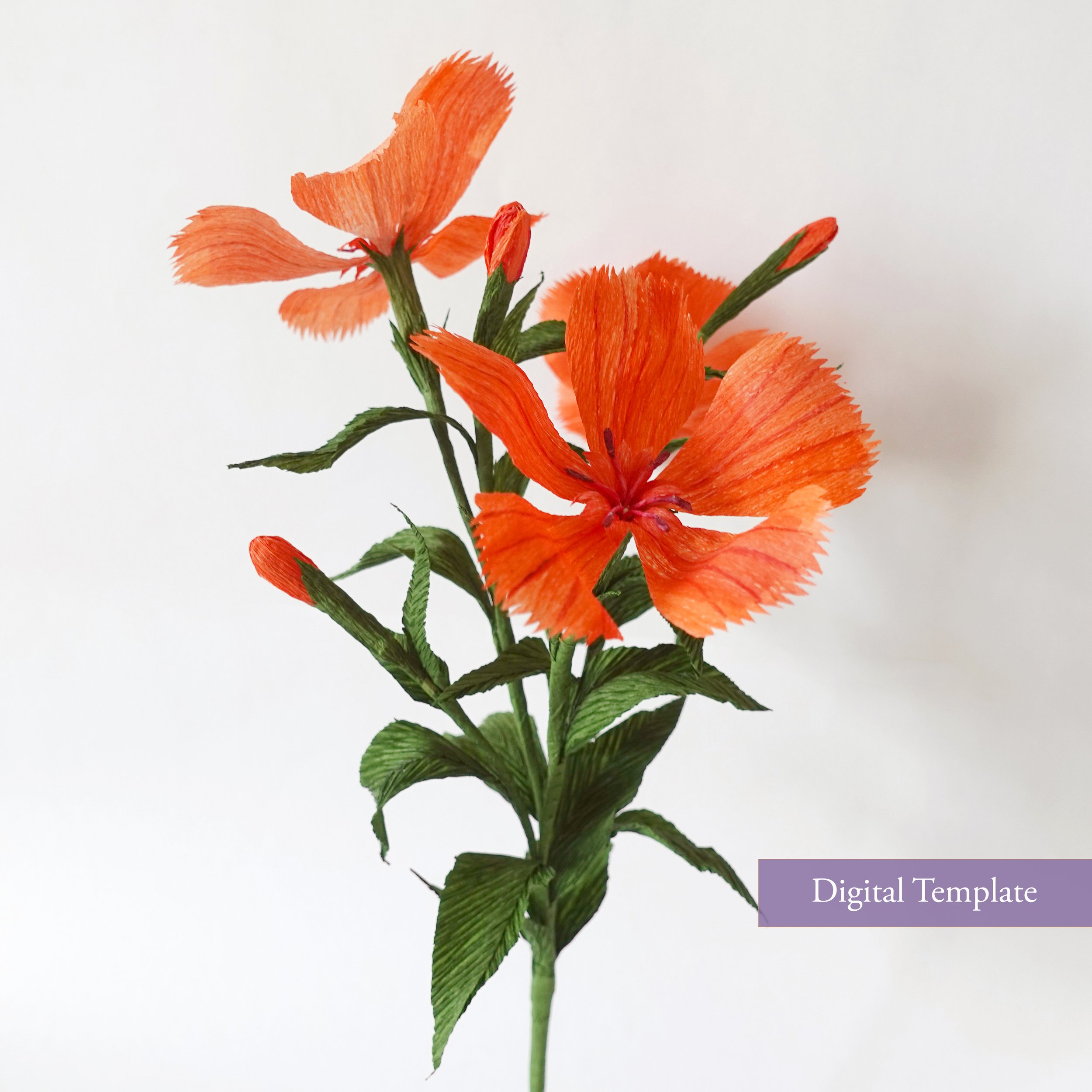 Crepe Paper Lychnis flower