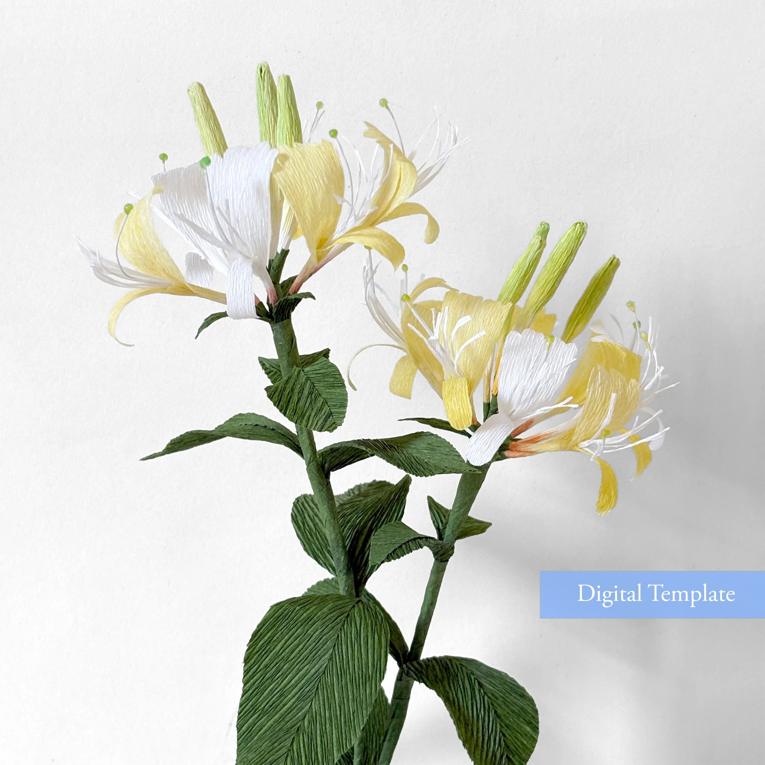 Crepe Paper Honeysuckle flower digital template .jpg