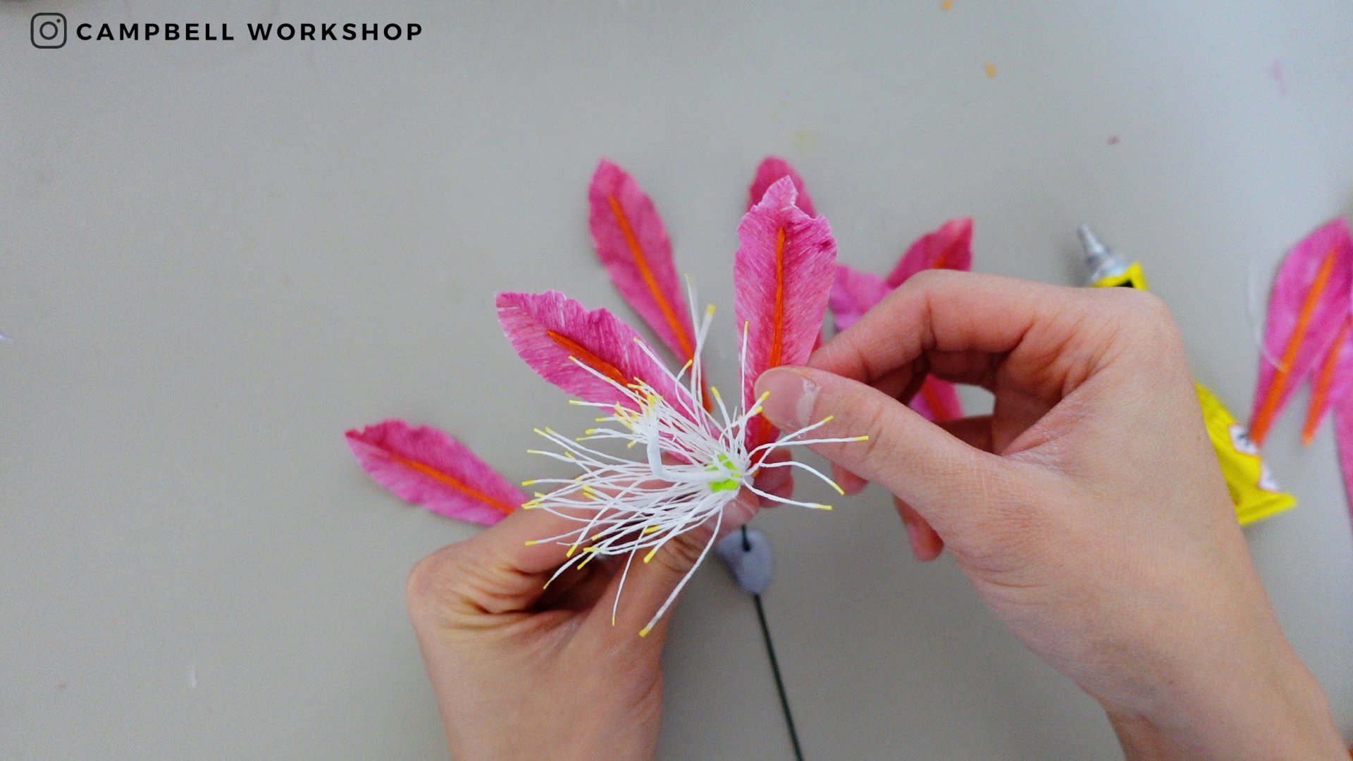 Crepe Paper Christmas Cactus