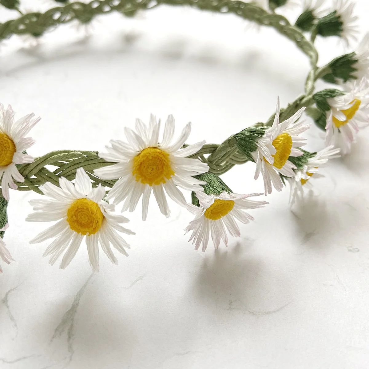 Daisy_1781 copy.jpg