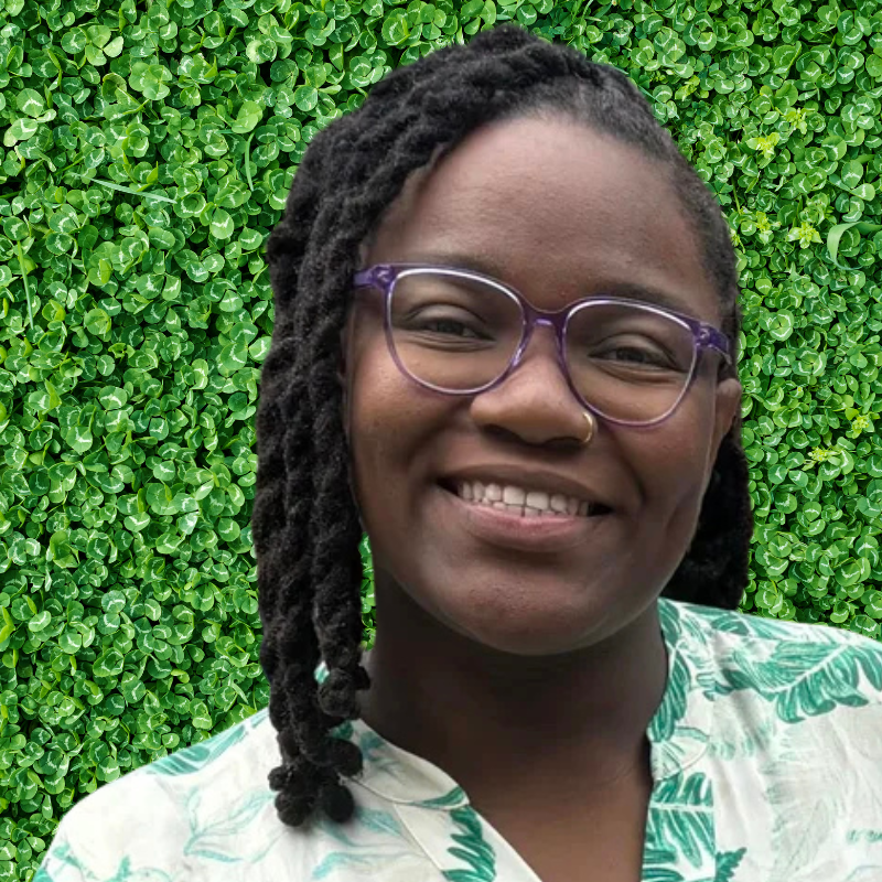 Angel Joyce Powell, LCSWA