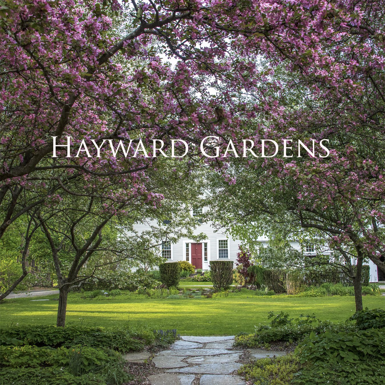 hayward gardens2 copy.jpg