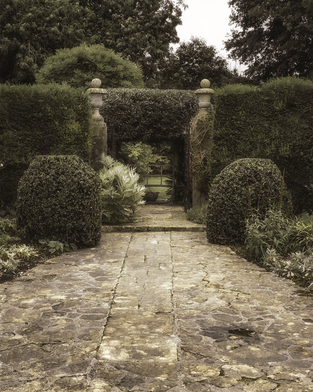 ~
.
.
Entry
.
.
#gardens #thecourtsnt