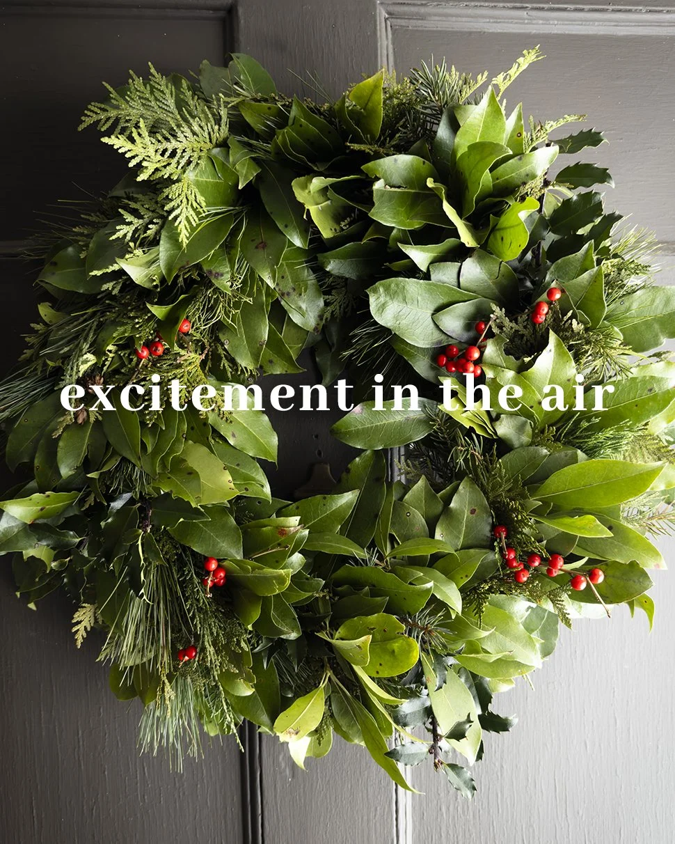 Excitement In The Air
