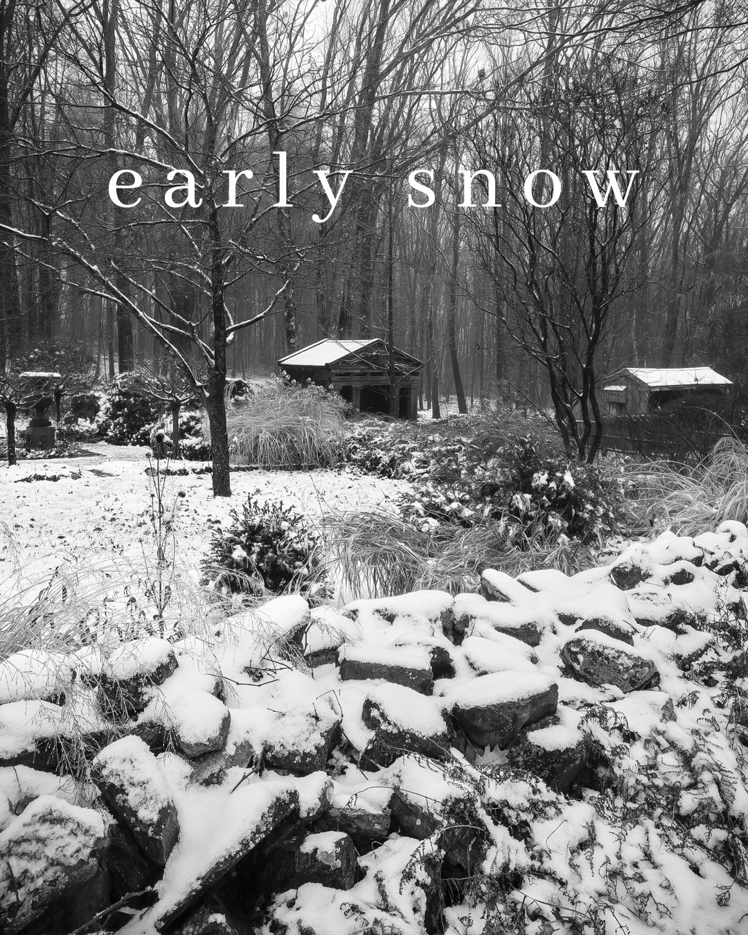 An Early Snow