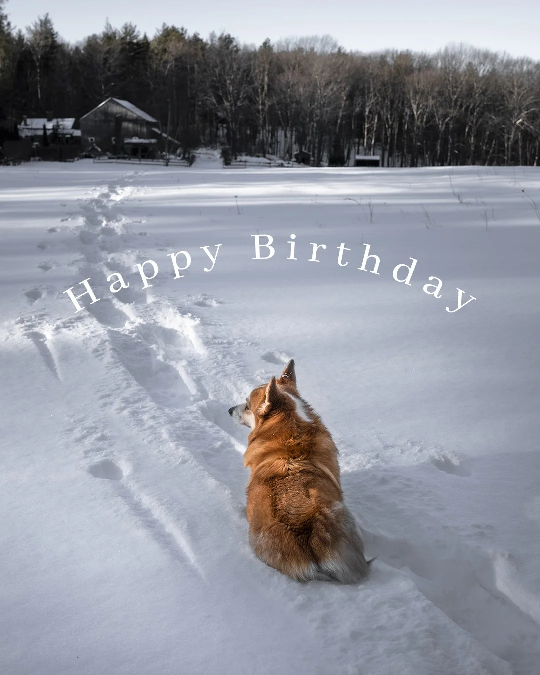 Happy Birthday Christina