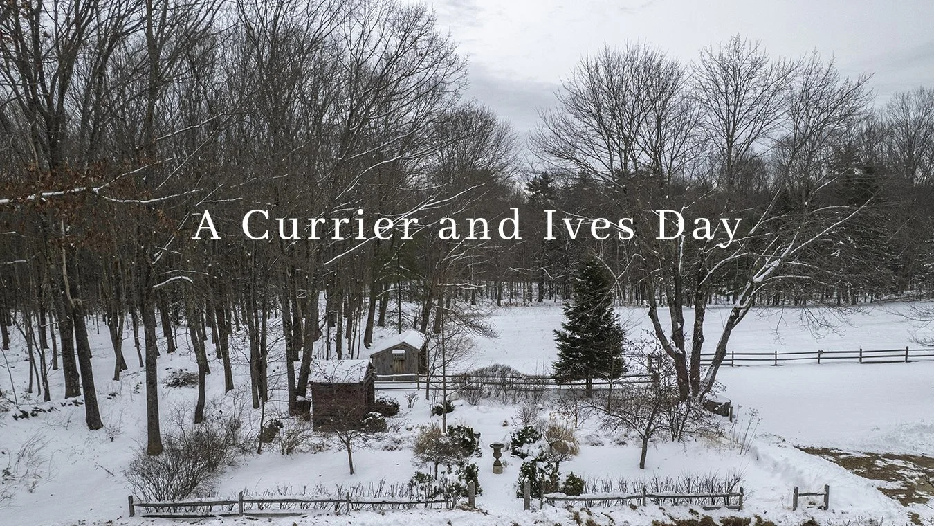 A Currier and Ives Kind of Day