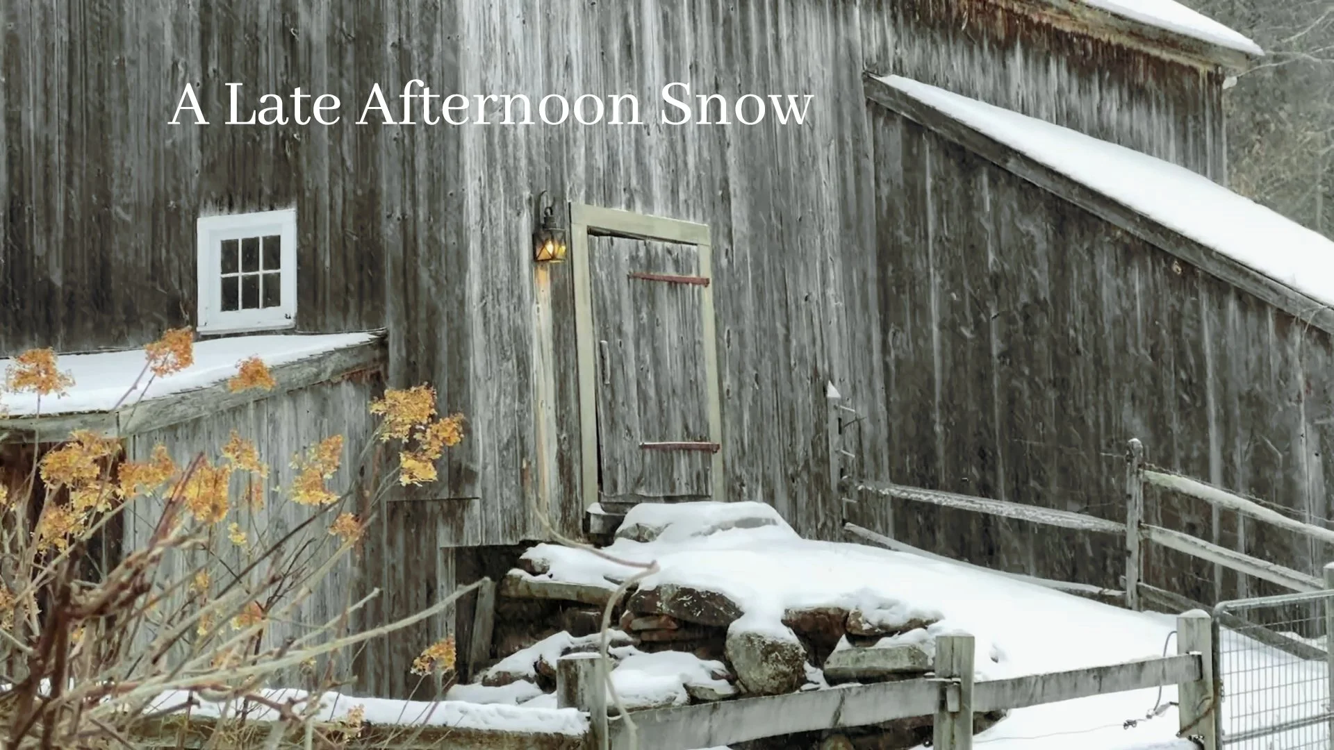 A Late Afternoon Snow