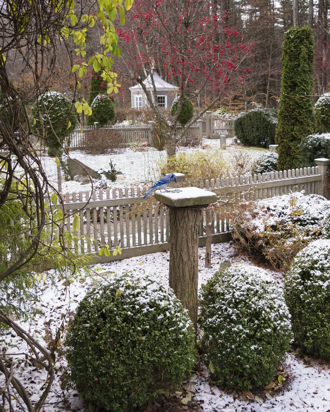 Thanks New Hampshire Home